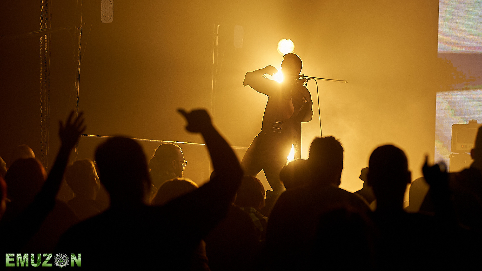 Тролль гнет ель. Фотографии отовсюду и обо всем