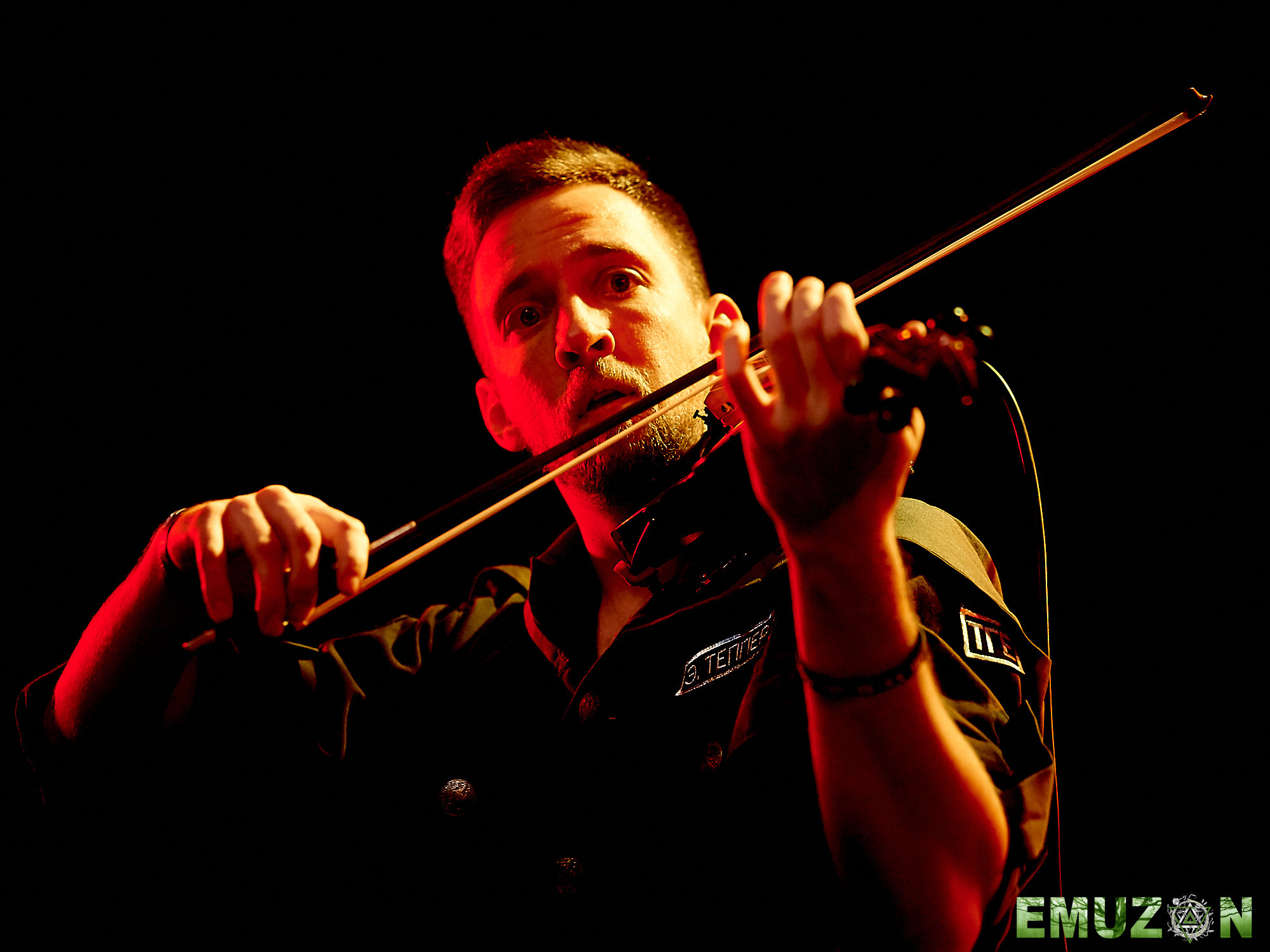 Тролль гнет ель. Фотографии отовсюду и обо всем