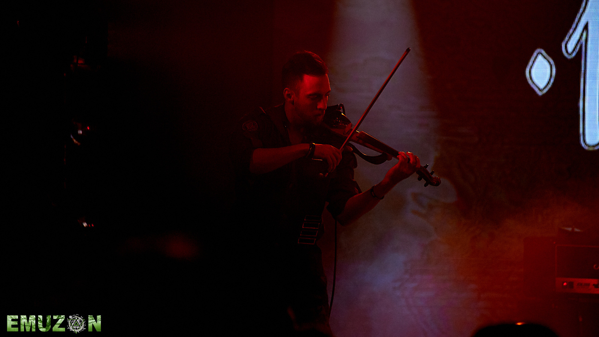 Тролль гнет ель. Фотографии отовсюду и обо всем