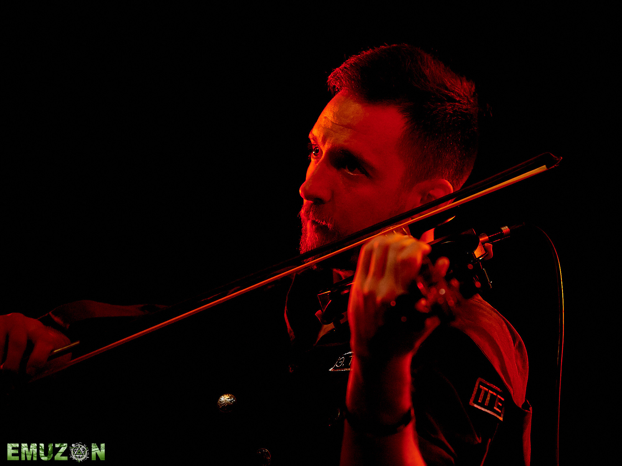 Тролль гнет ель. Фотографии отовсюду и обо всем