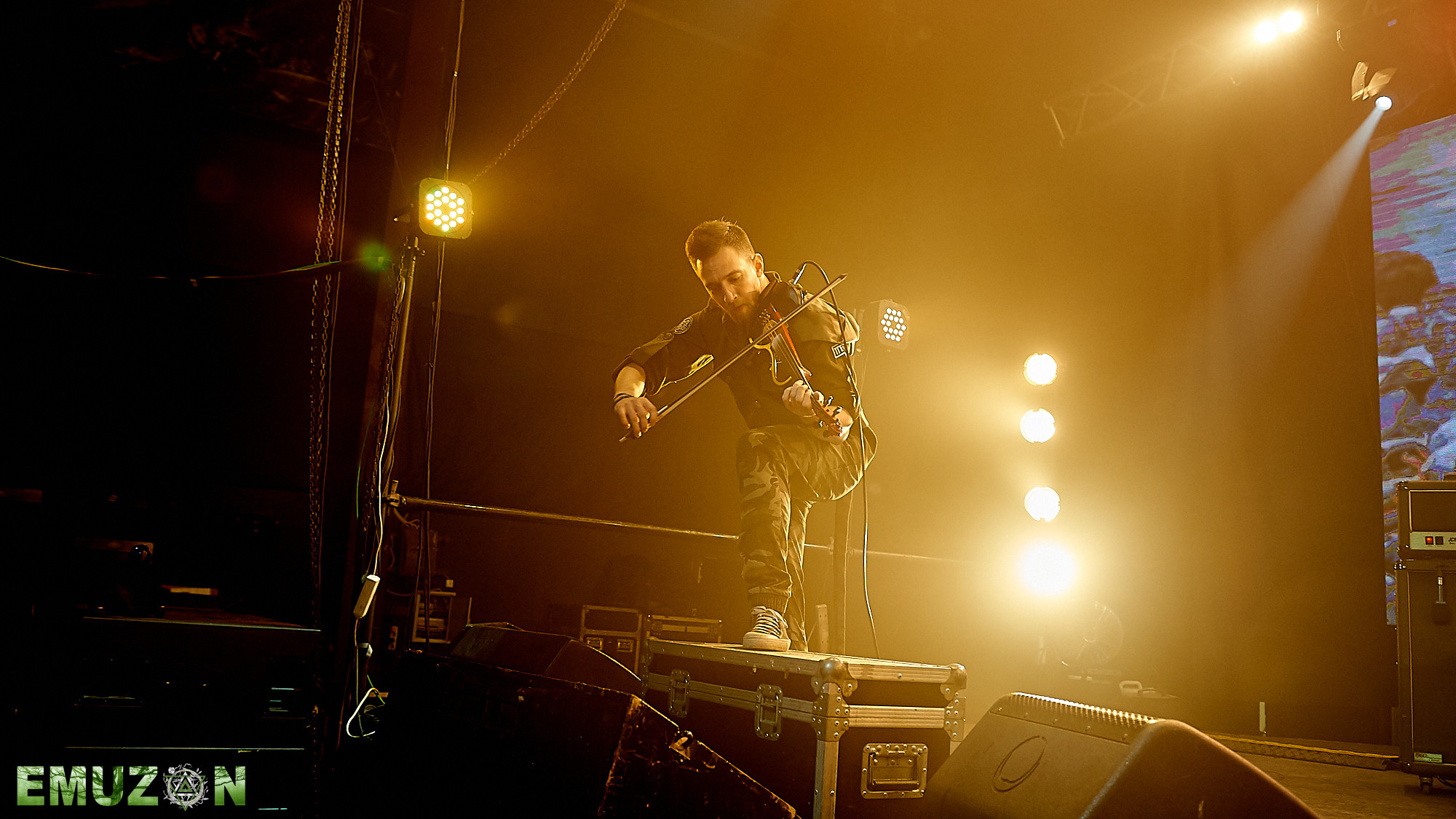 Тролль гнет ель. Фотографии отовсюду и обо всем