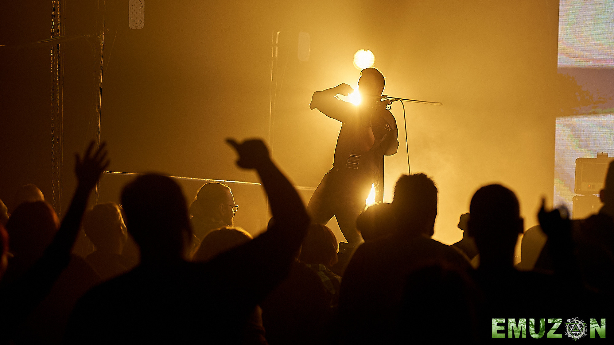 Тролль гнет ель. Фотографии отовсюду и обо всем