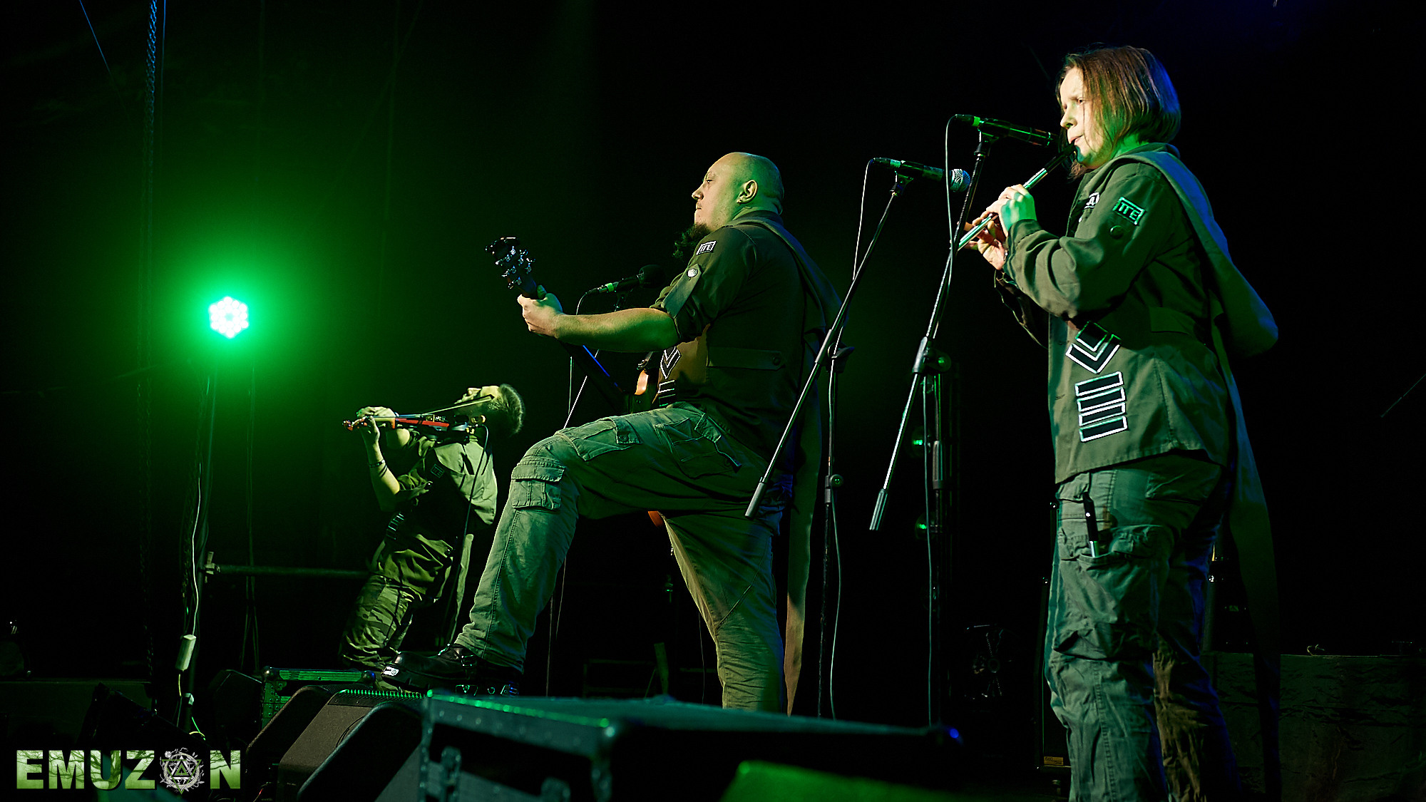 Тролль гнет ель. Фотографии отовсюду и обо всем