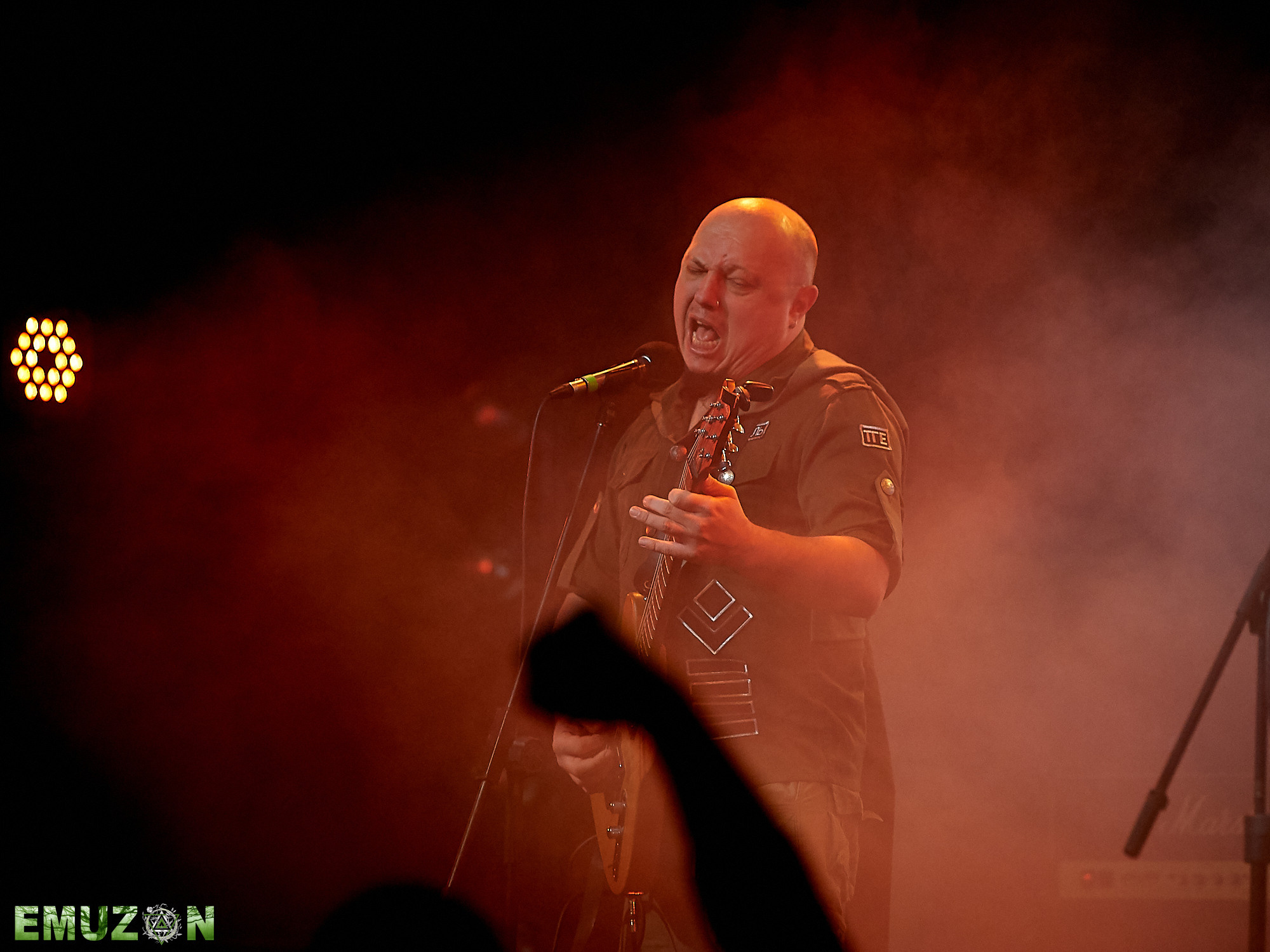 Тролль гнет ель. Фотографии отовсюду и обо всем