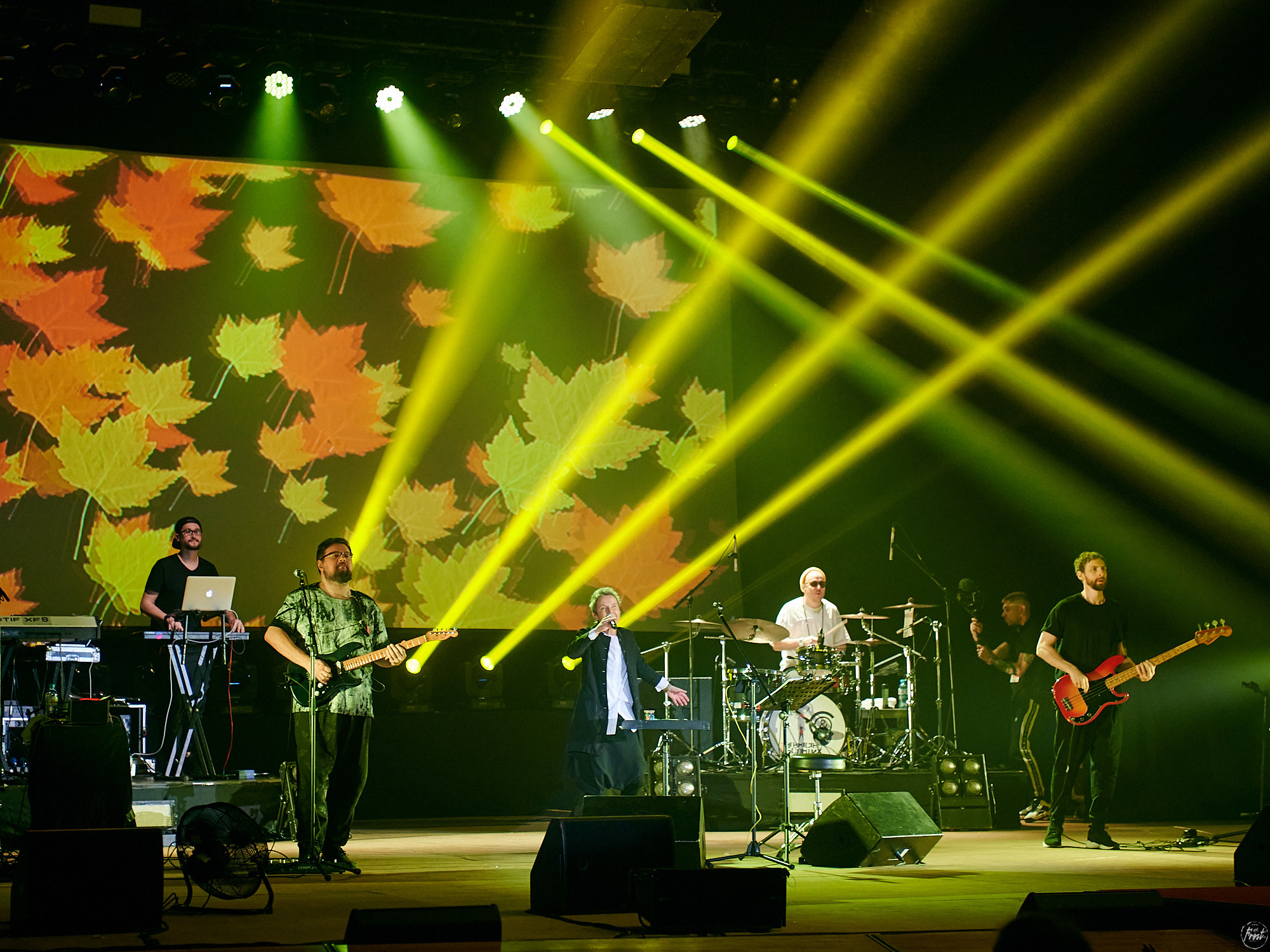 Сурганова и оркестр. Фотографии отовсюду и обо всем