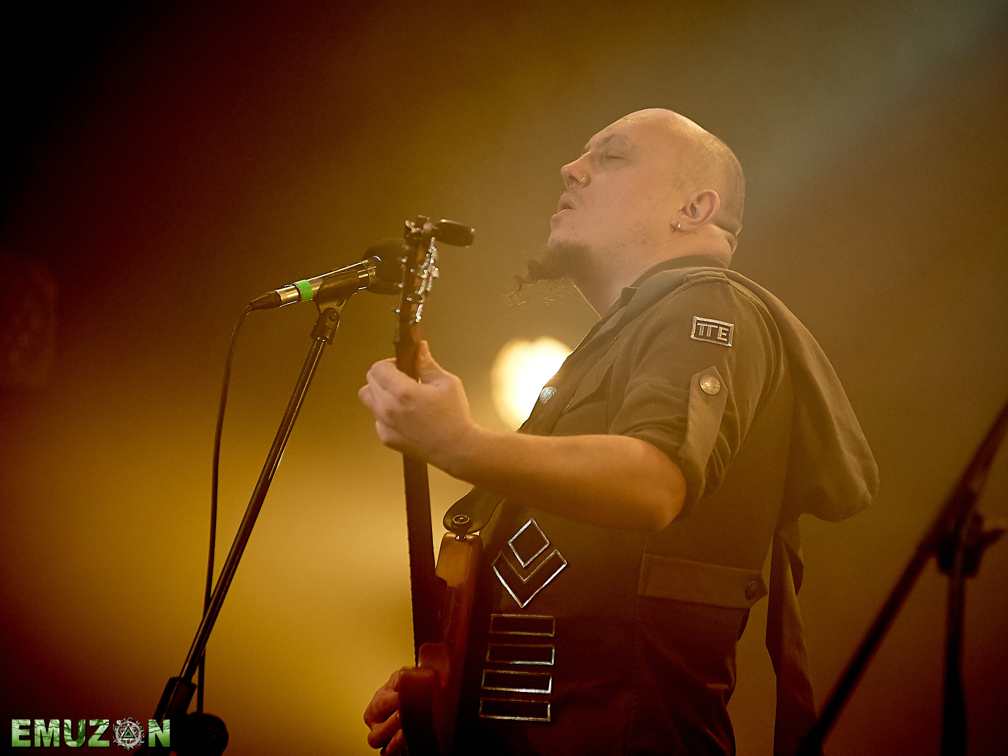 Тролль гнет ель. Фотографии отовсюду и обо всем