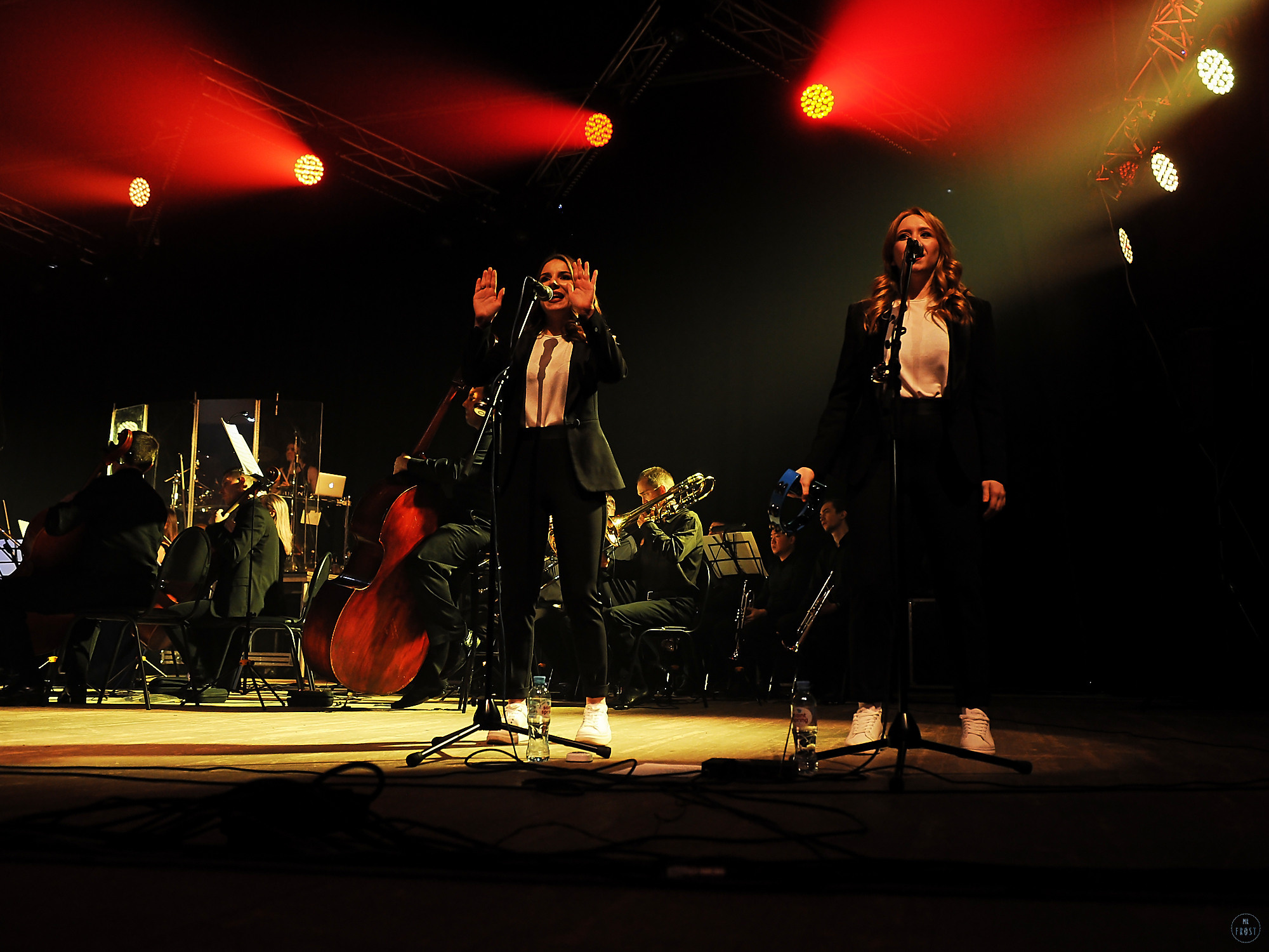 Radio Queen. Фотографии отовсюду и обо всем