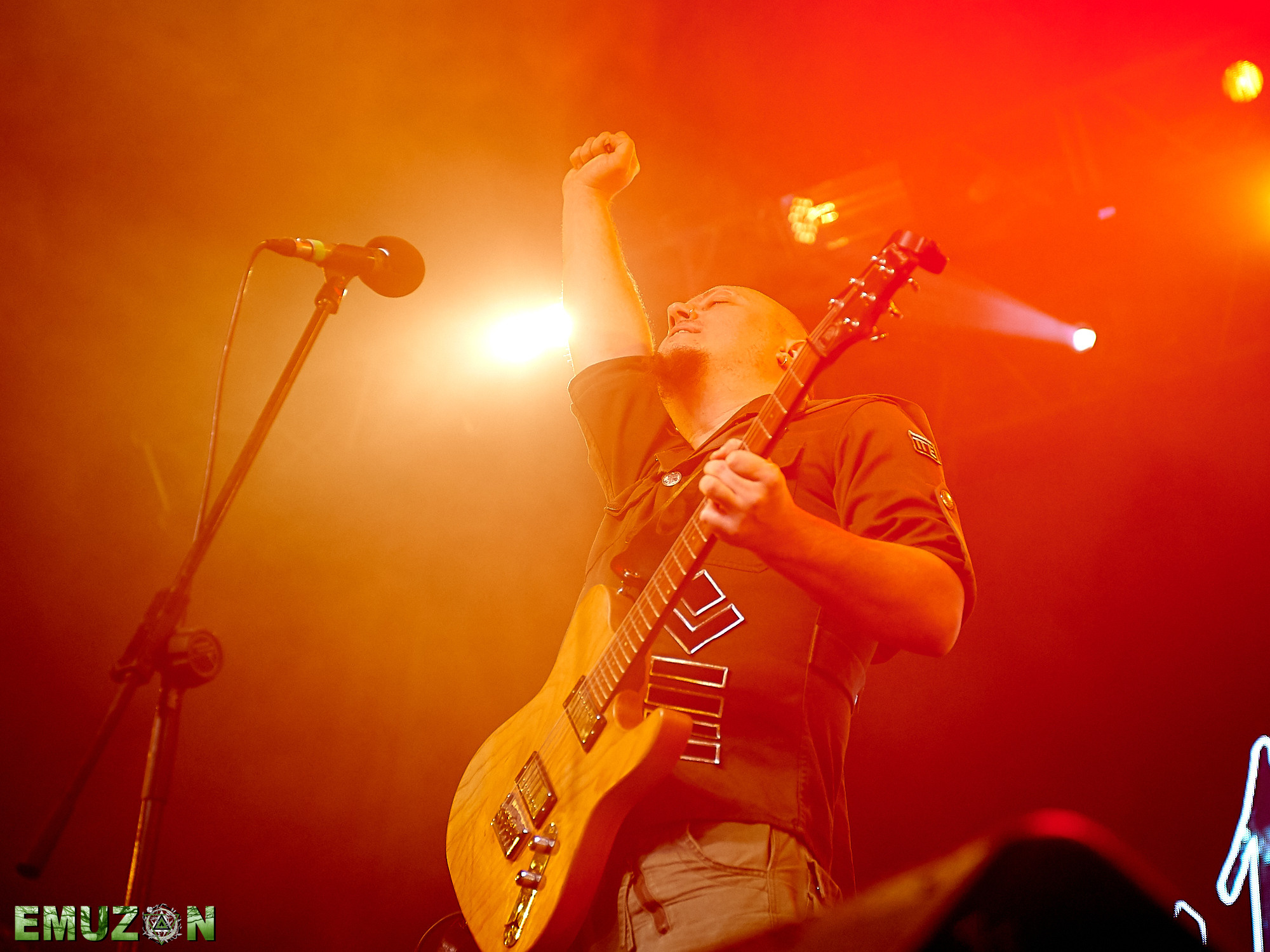 Тролль гнет ель. Фотографии отовсюду и обо всем