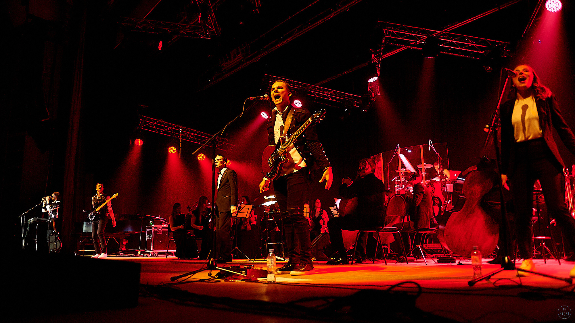 Radio Queen. Фотографии отовсюду и обо всем