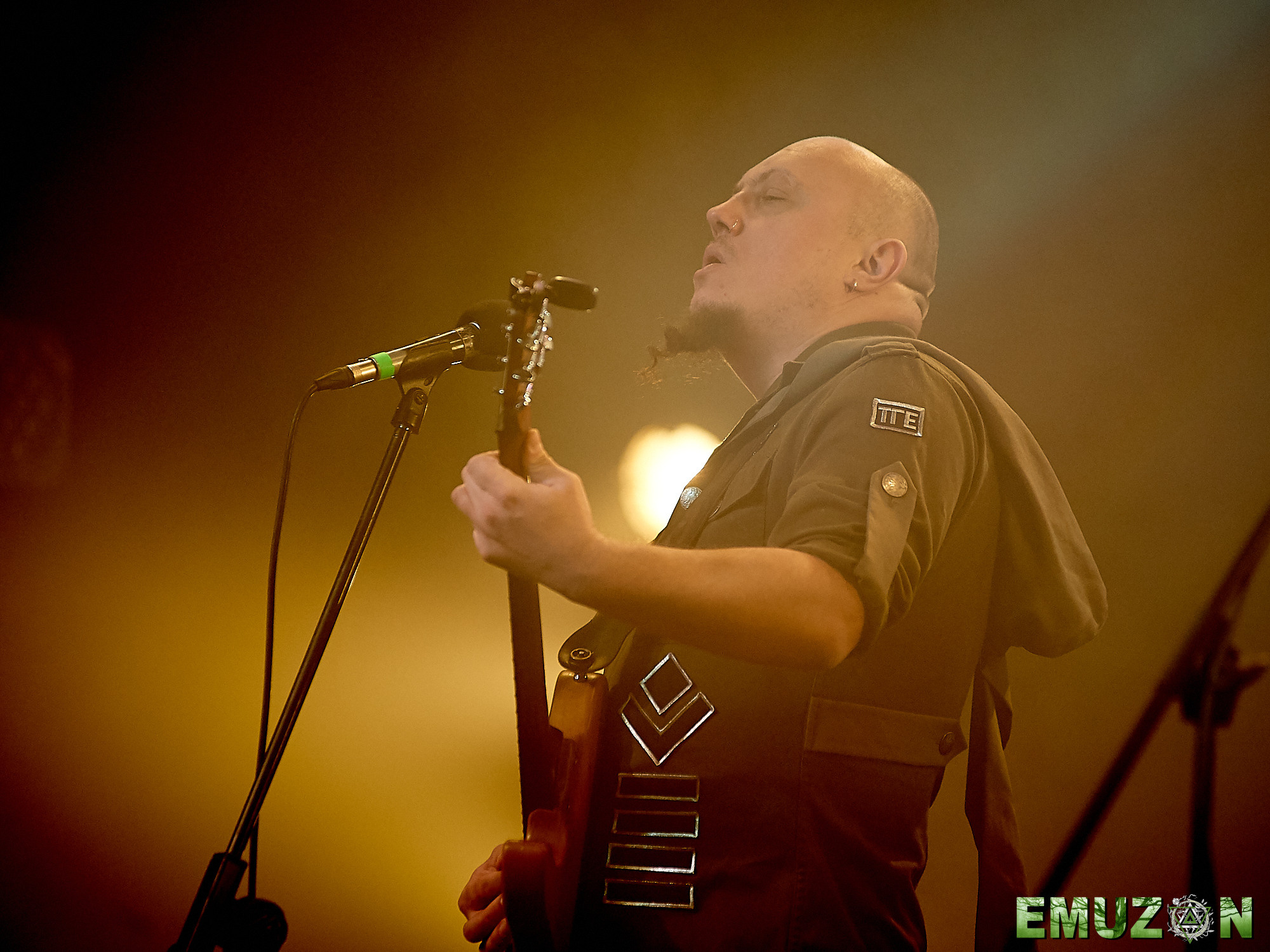 Тролль гнет ель. Фотографии отовсюду и обо всем