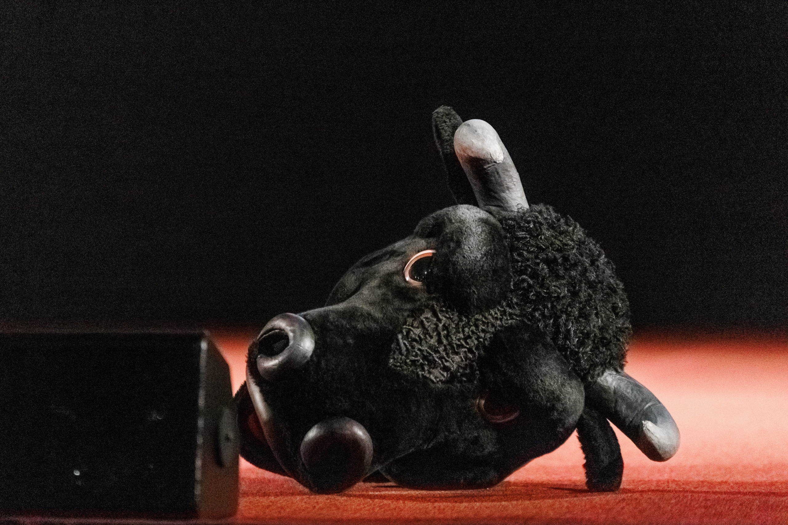 Закрытый показ Шоу. Репортажный фотограф. Москва. Алина Ланская