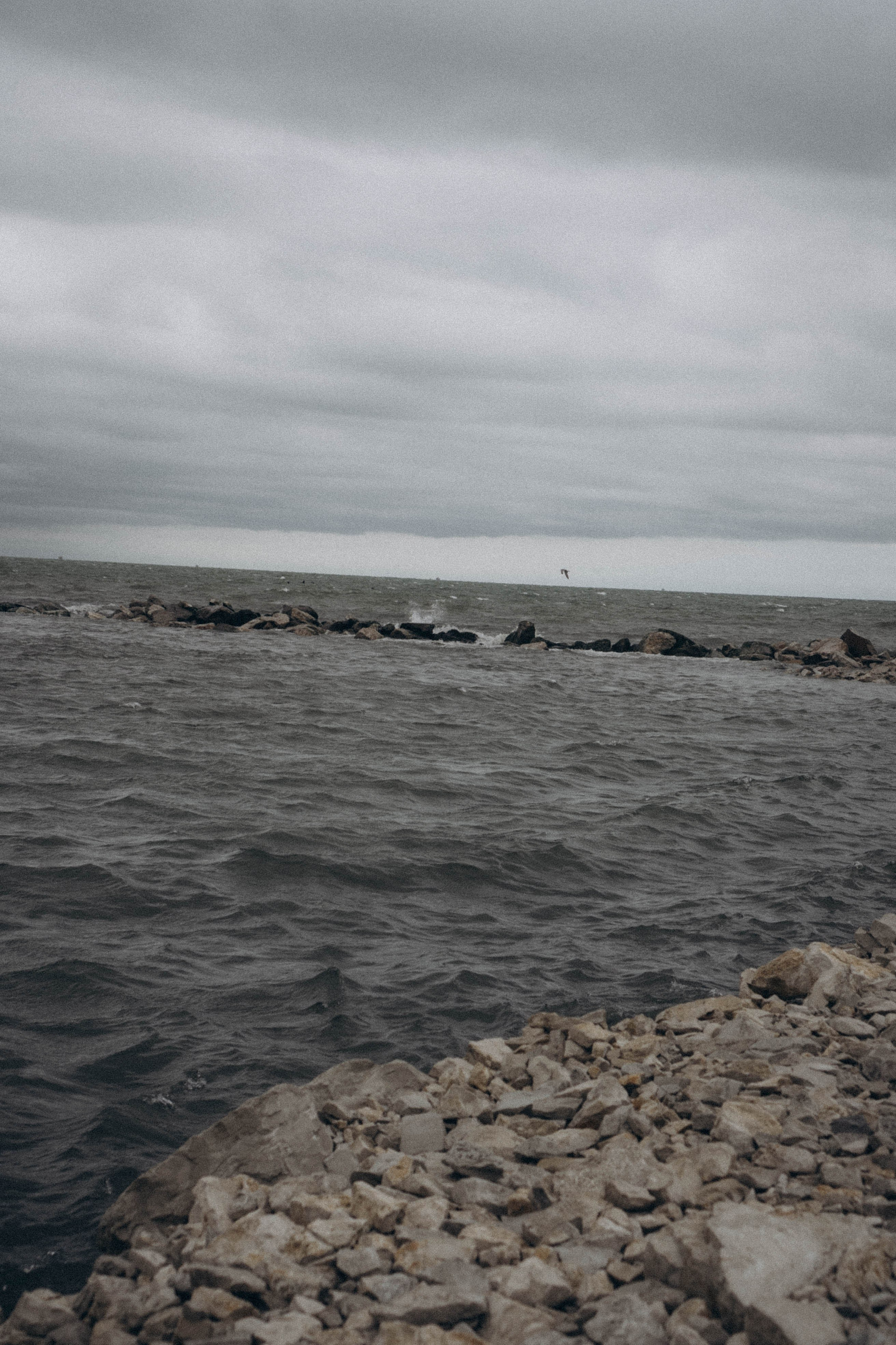 Кавказ. Профессиональный фотограф, Санкт-Петербург — Виктория Богомолова