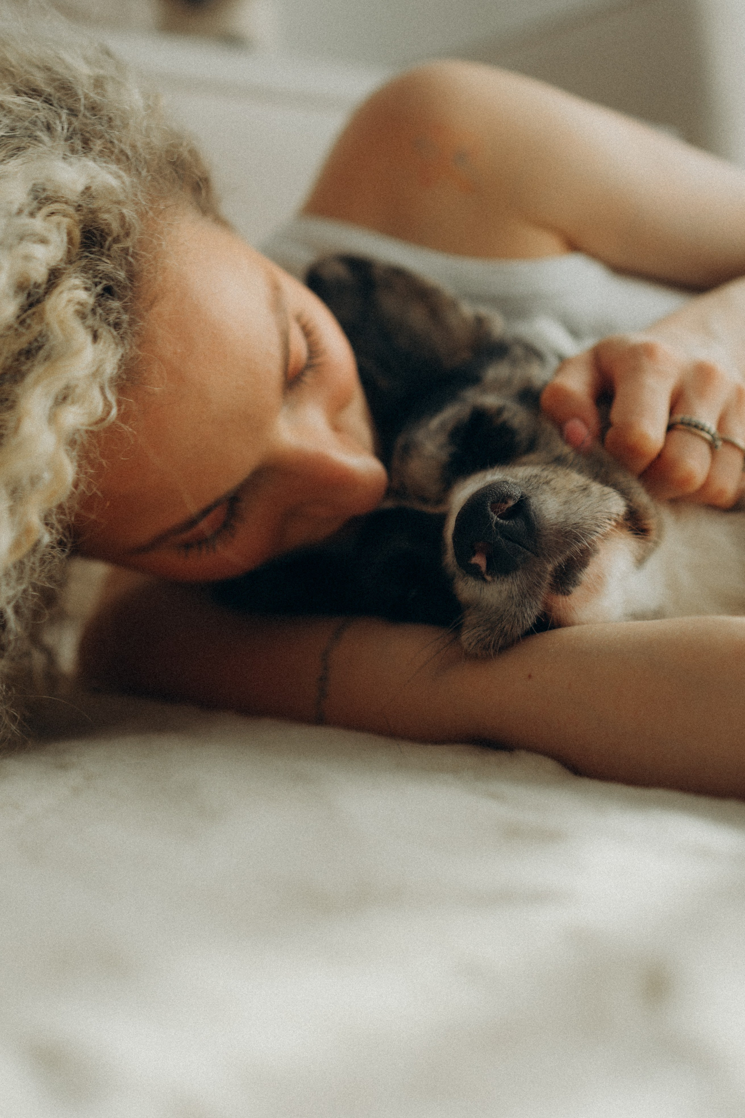 Бэлла, Деми и Луна. Фотораф — анималист Мария Шистка