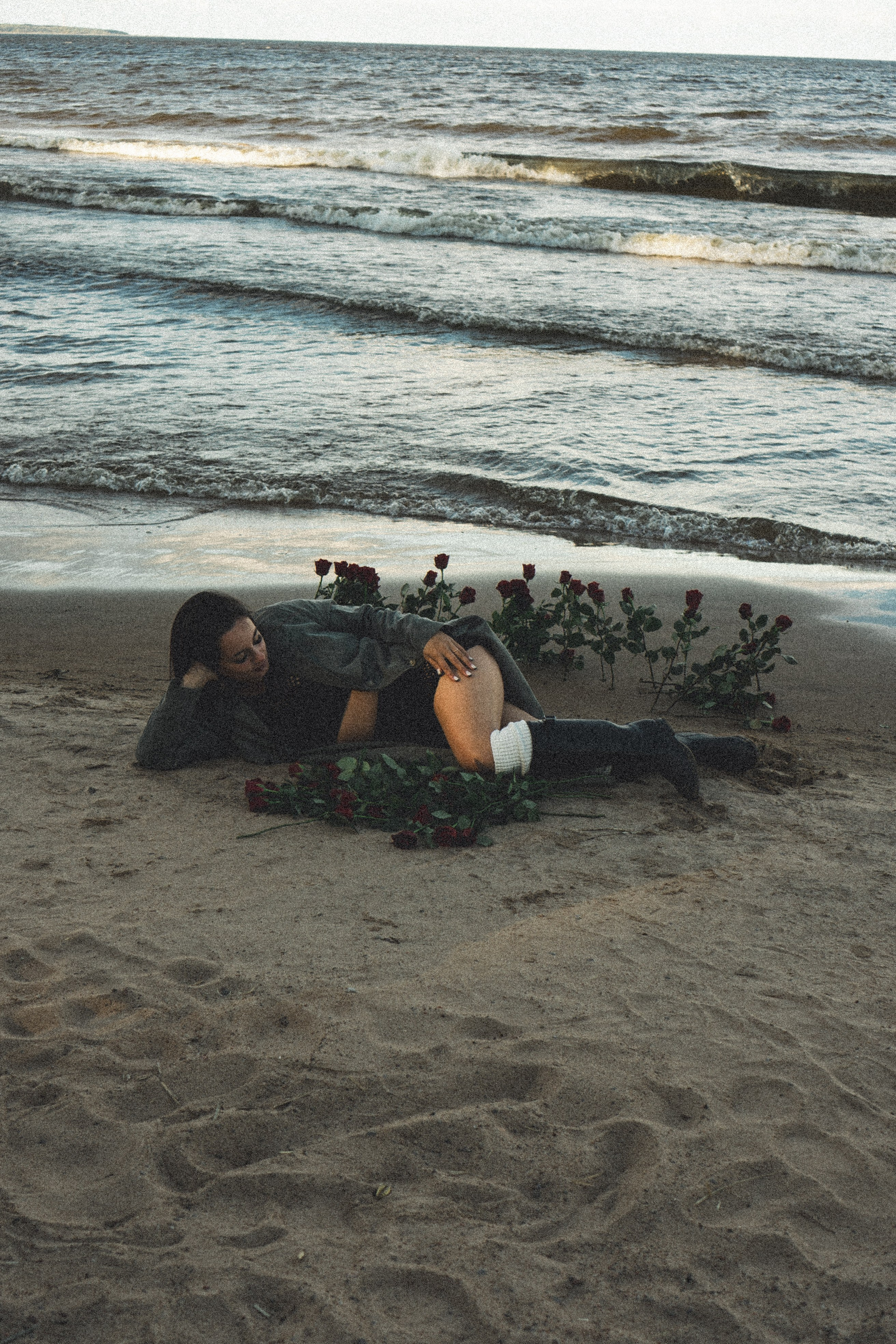 Розы. Профессиональный фотограф, Санкт-Петербург — Виктория Богомолова