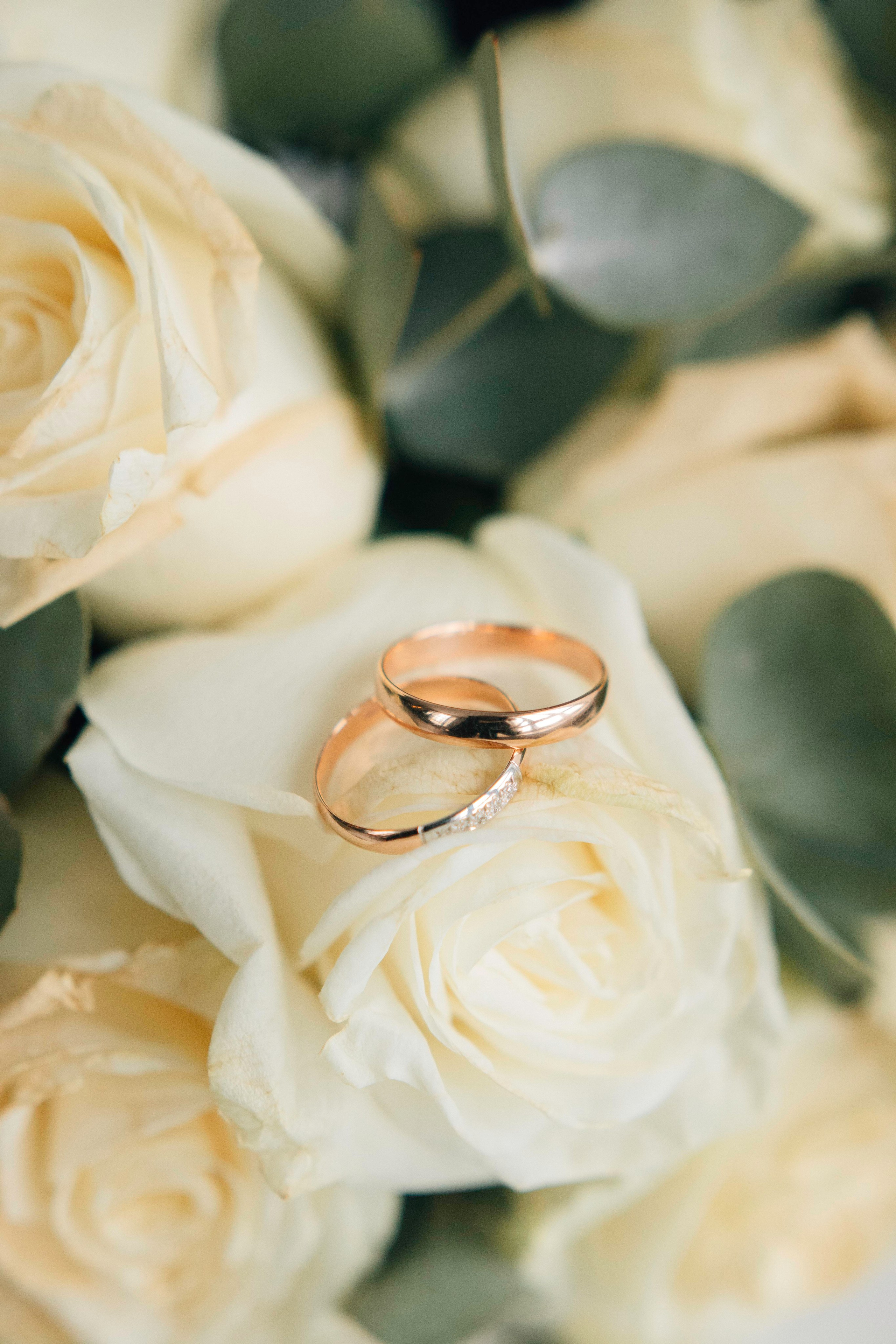 Алина и Данил. Фотограф в Омске Елизавета Першина