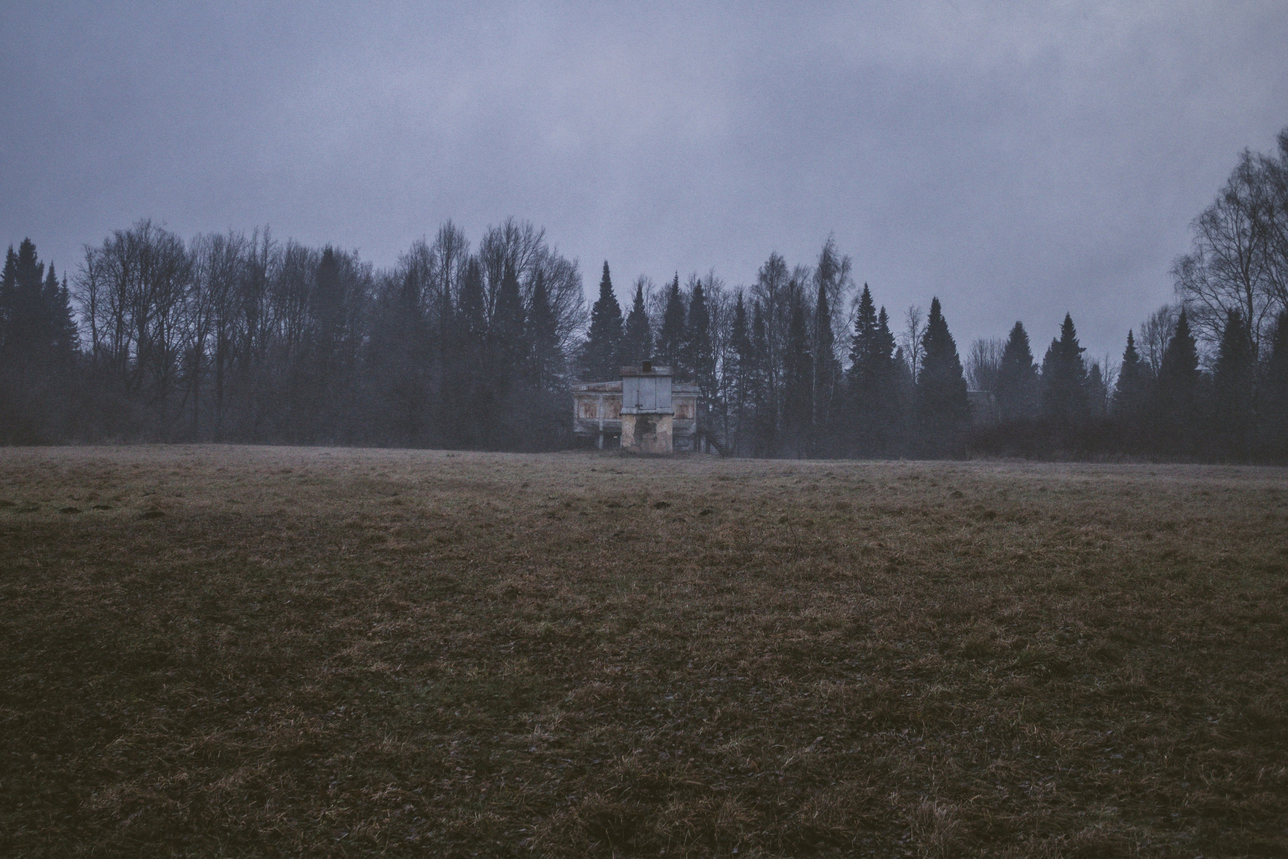 No one there. Sergei Berezkin