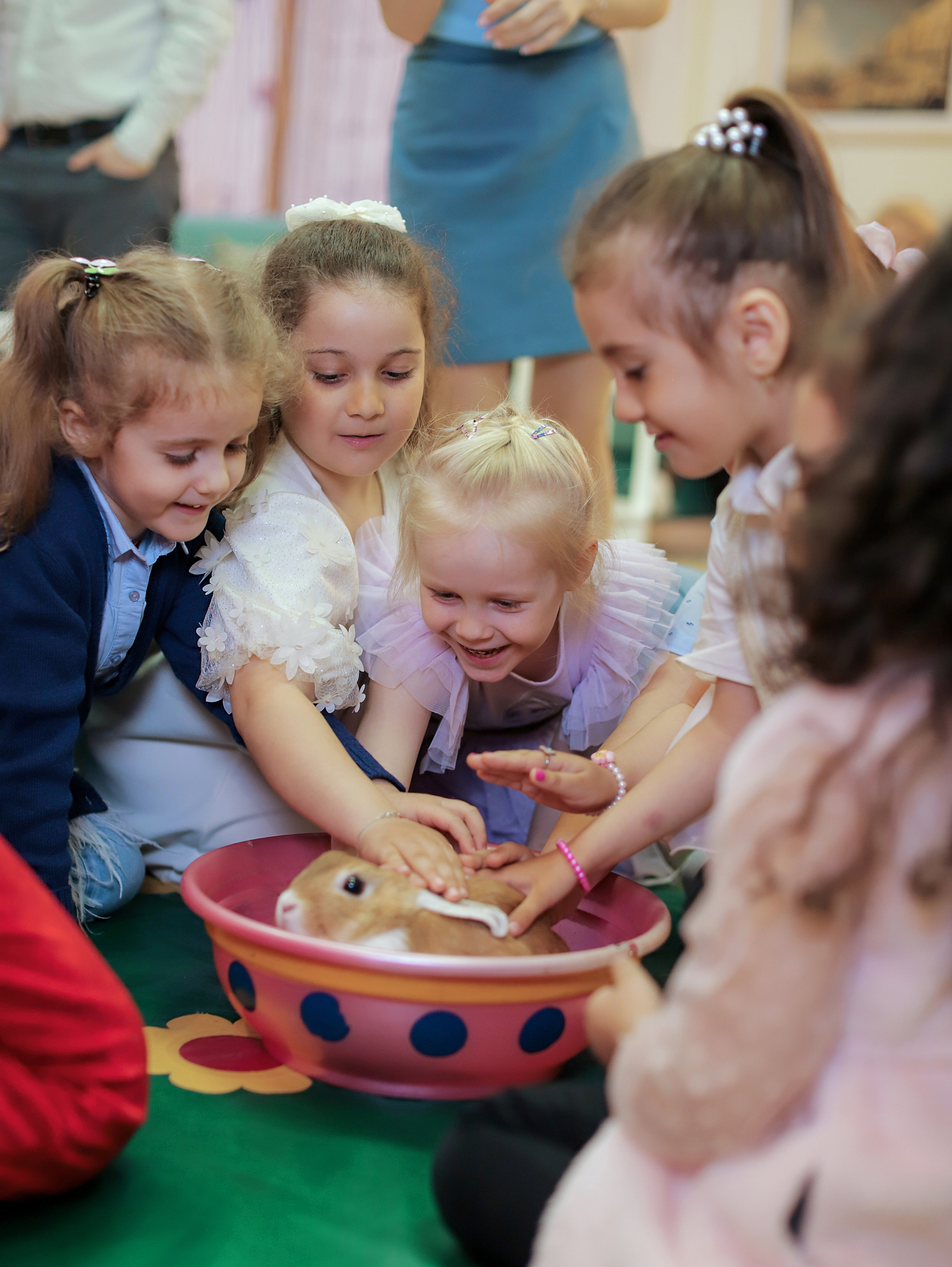 Праздники/День Рождения