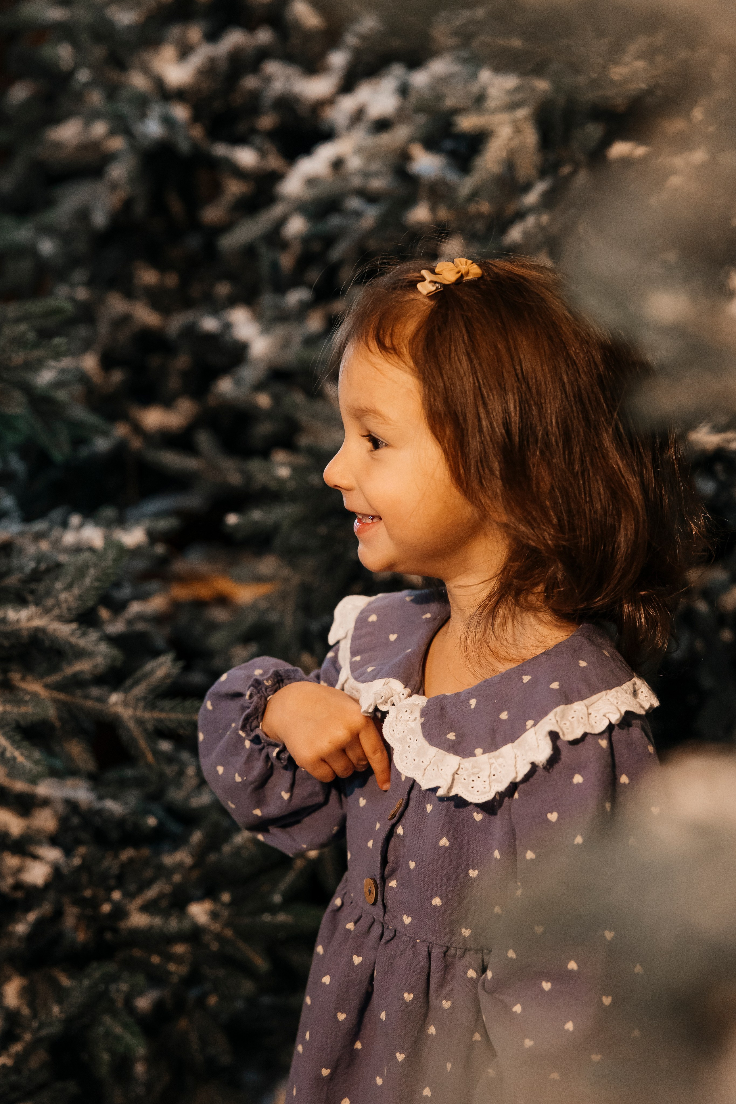 Новогодние чудеса. Сказочный фотограф для Вас и Вашей семьи