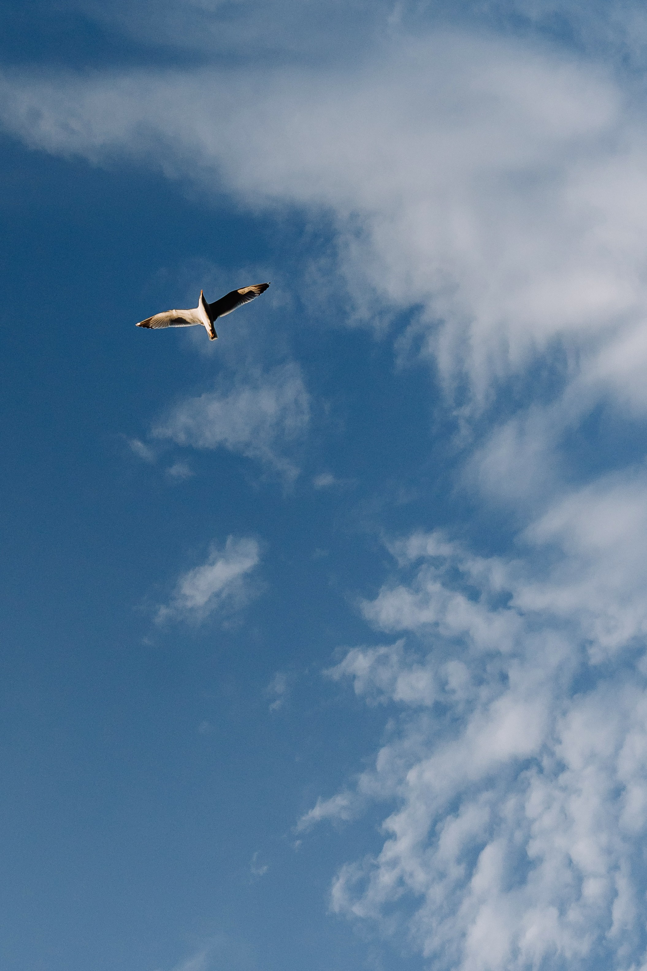 Istanbul Sariyer wedding. Wedding & Documentary Photographer based in Nuremberg — available across Europe & Turkey | Vitalii Nasonov