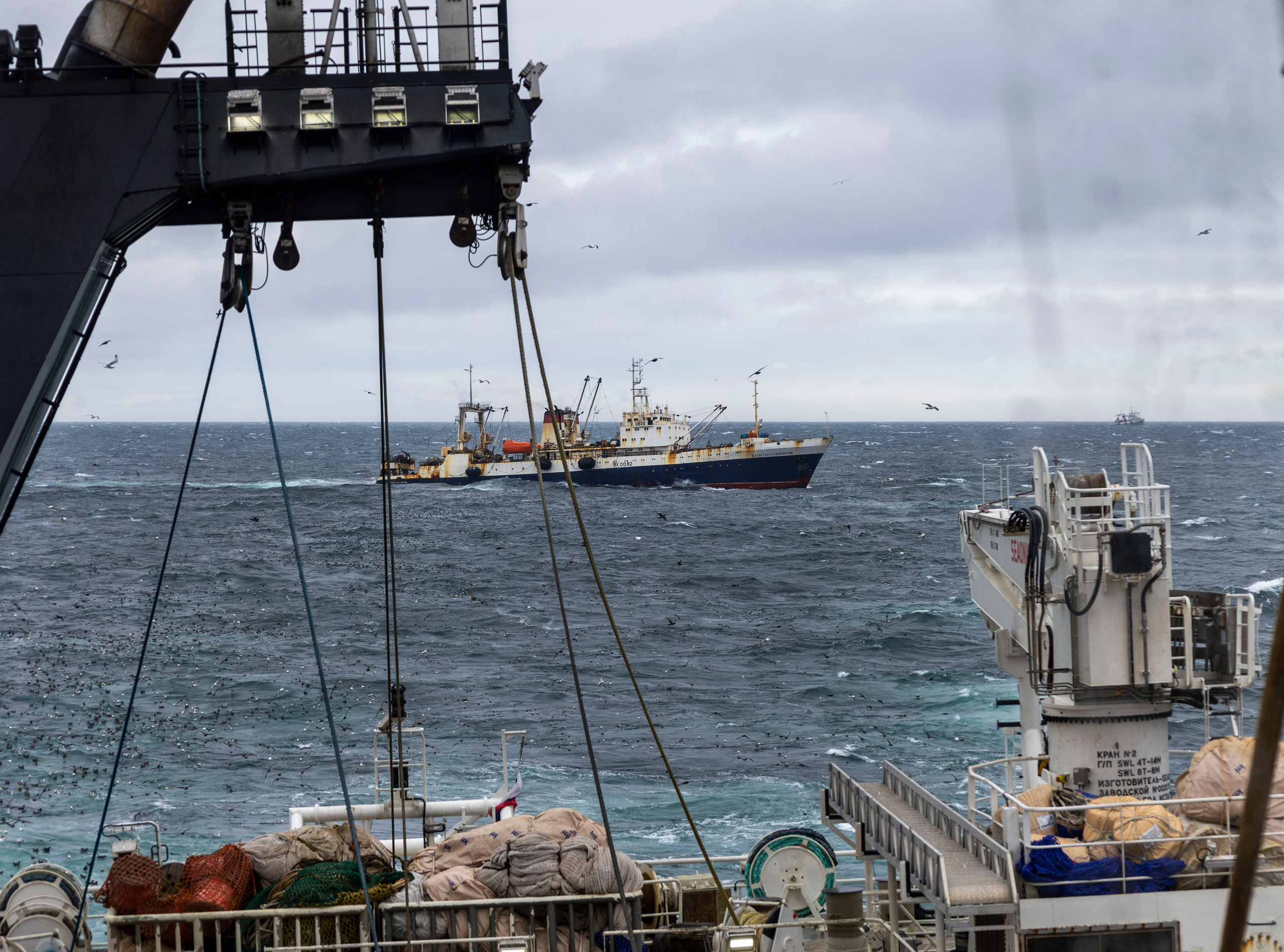 Когда я в море. Часть 2. Фотограф г. Владивосток