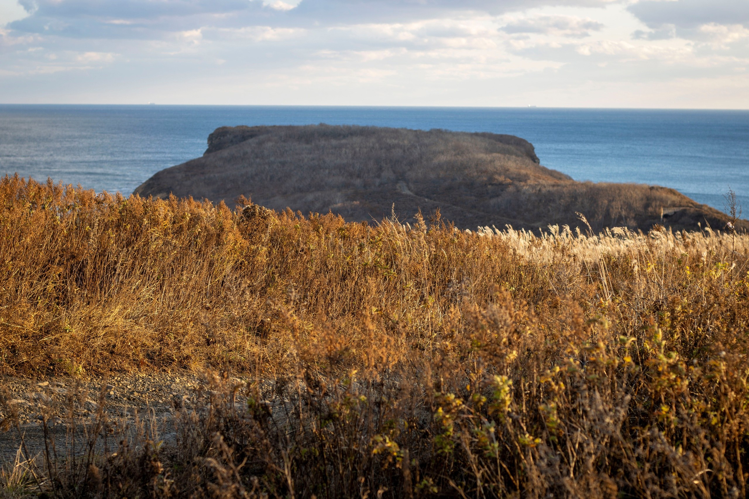Пейзажи и Природа. Фотограф г. Владивосток