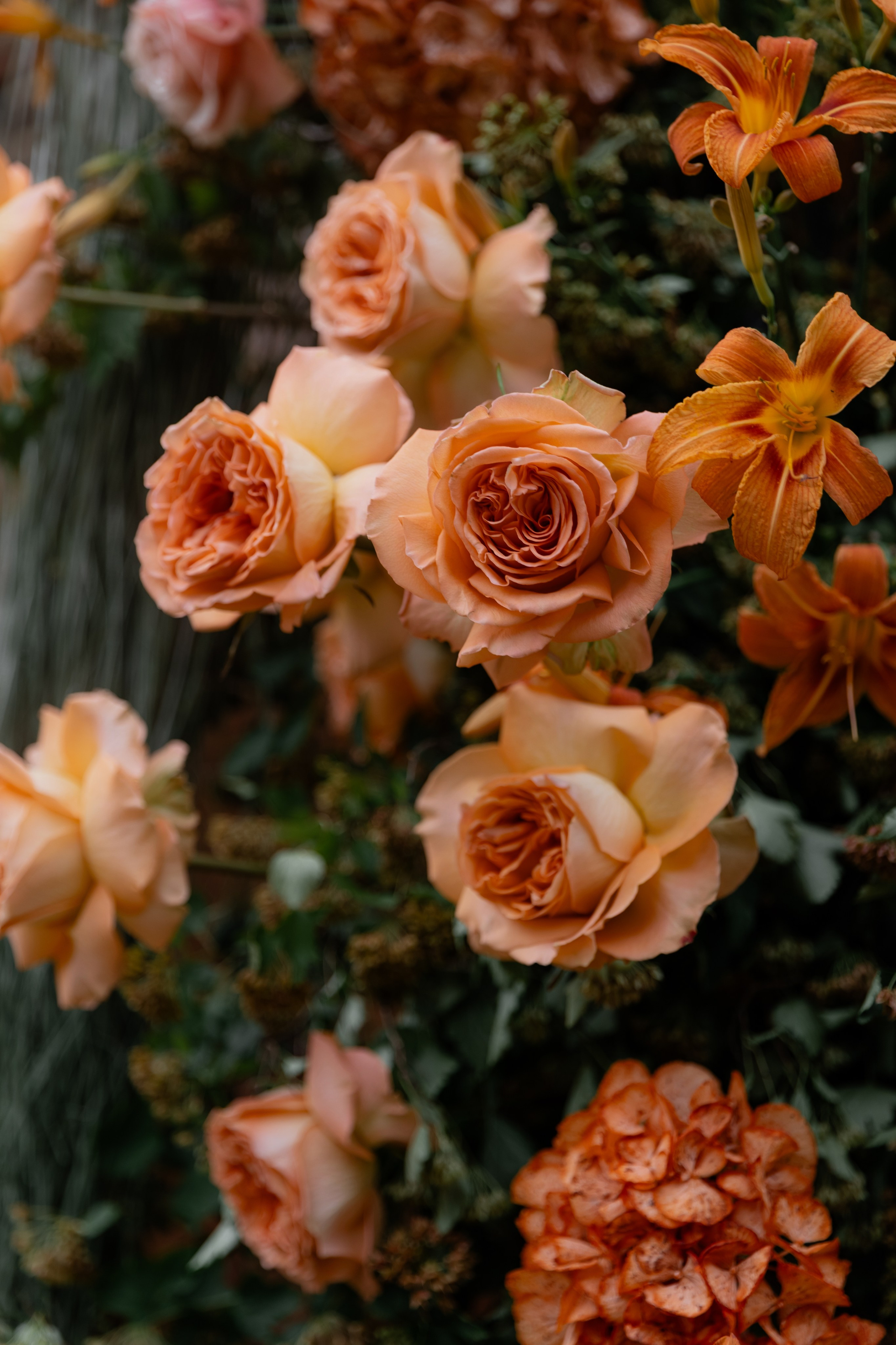 Anna & Alex film/digital Dwor Staiki. Свадебный фотограф Кристина Винокурова