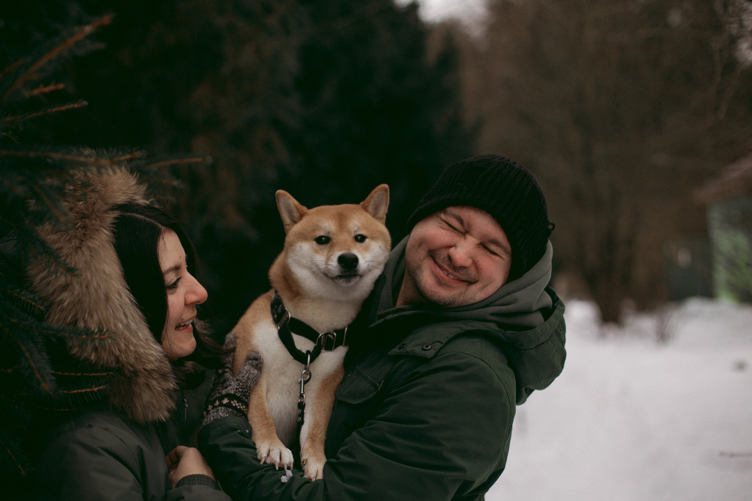 Katya, Dima, Rokki. Portrait, family and pet photographer in Cyprus, Ksenia Bourdelle