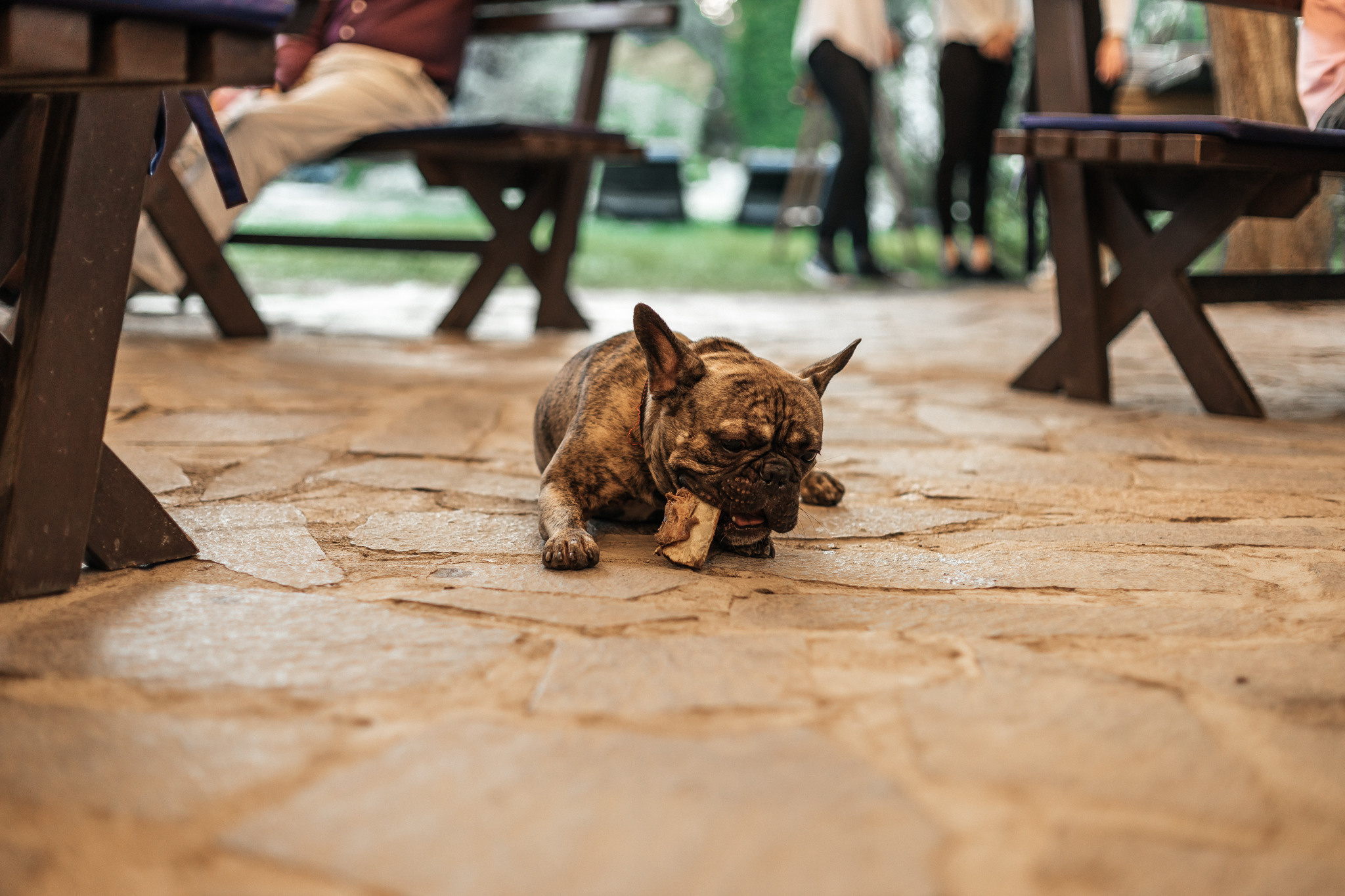 MIKHAIL VASSILYEV — Свадебный и Репортажный фотограф в Алматы