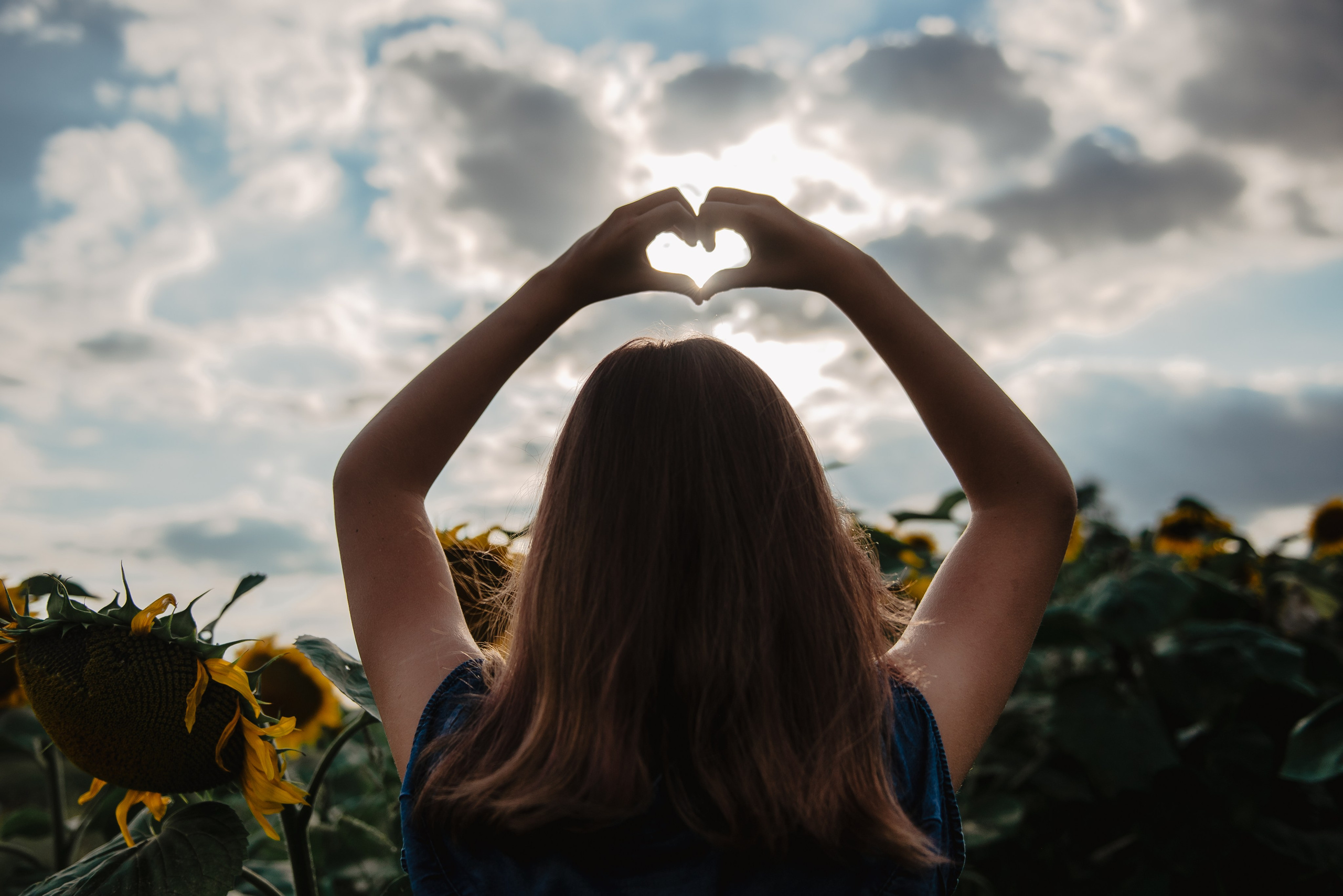 Прогулка в подсолнухах. Семейный Фотограф в Москве Ирина Хохлова