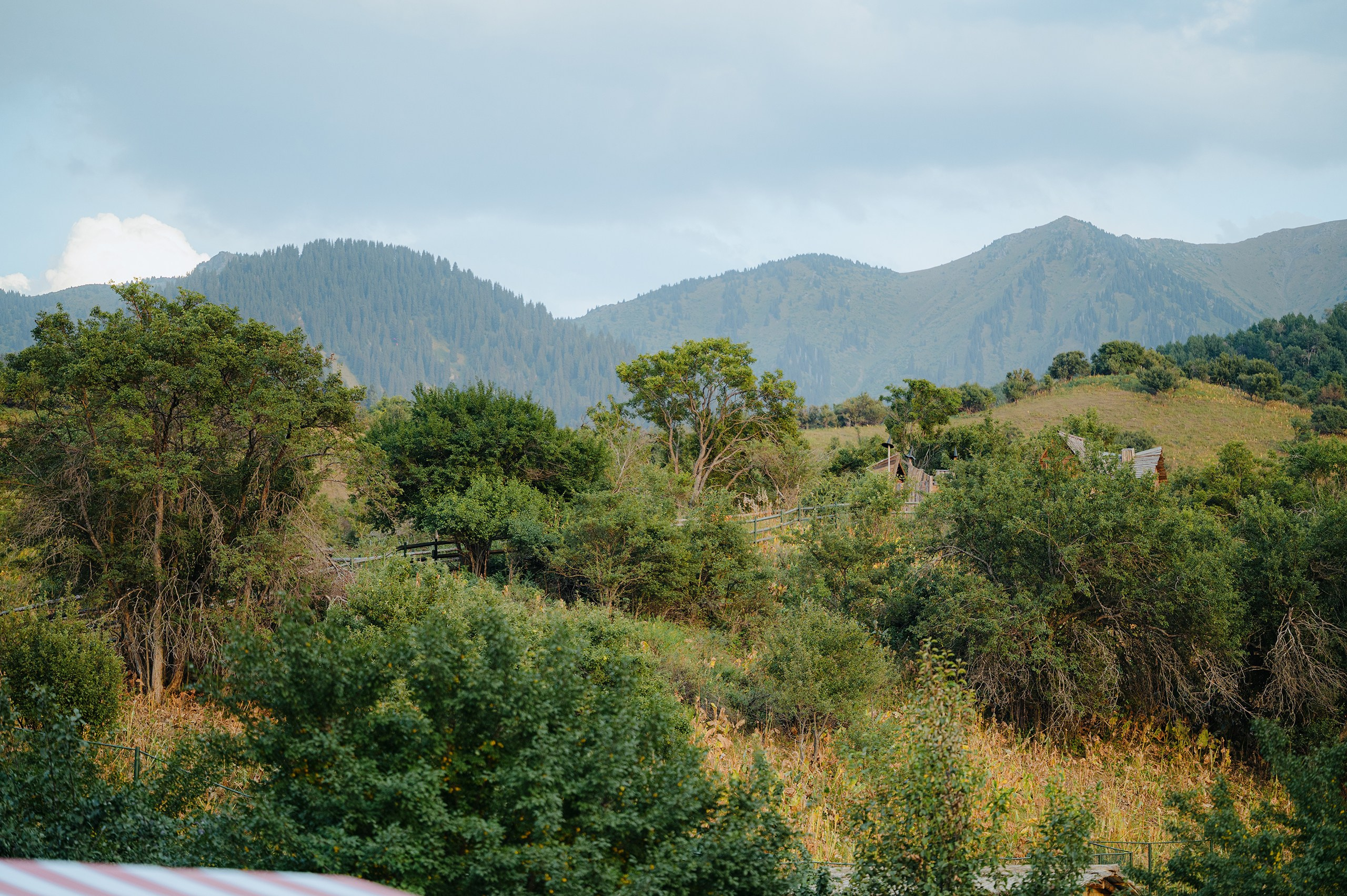 Юбилей, Фазенда у Михалыча. Фотограф в Алматы — Алексей Коньков | Репортаж, свадьбы, портреты