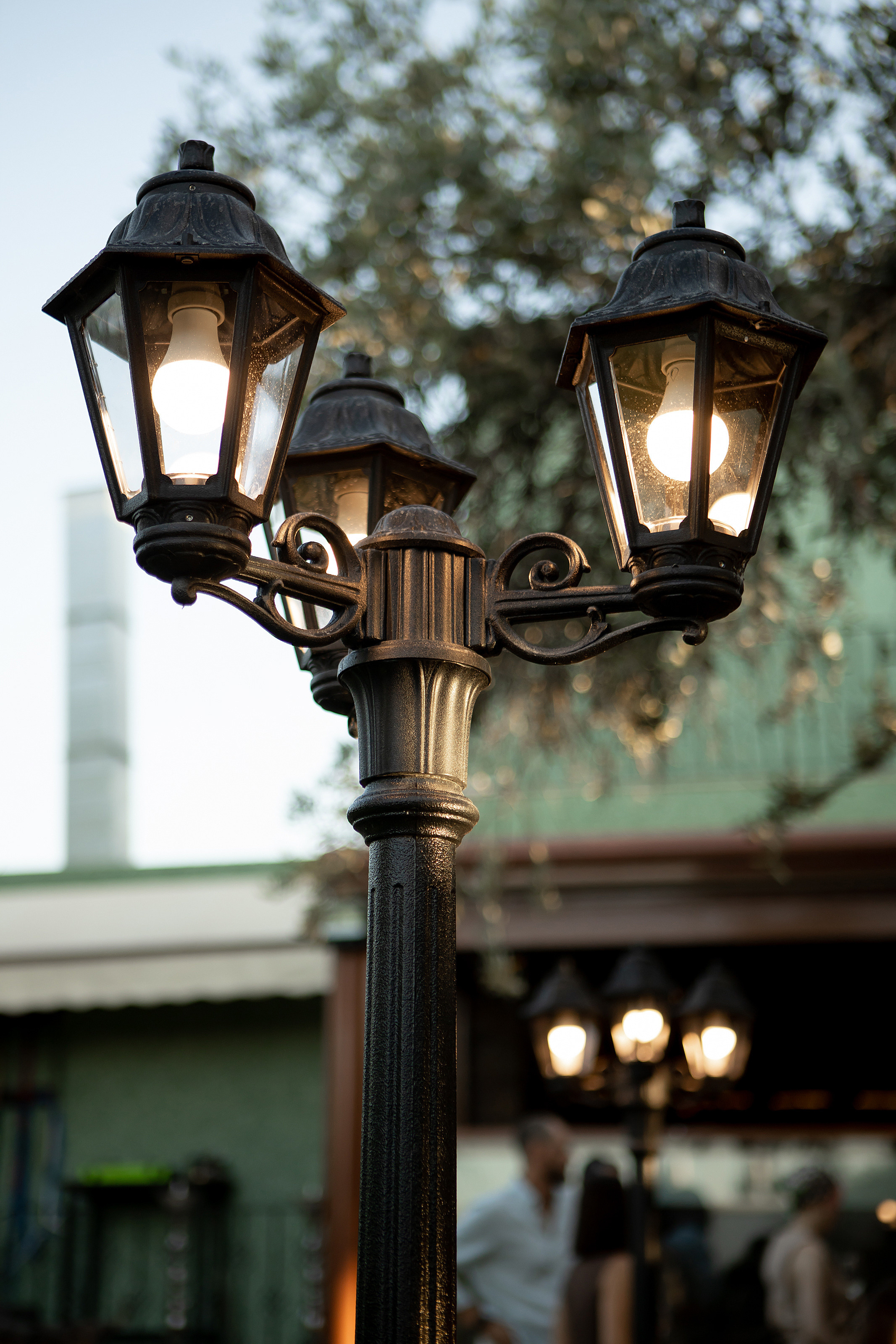 Благотворительный ужин в Basilic. Фотограф в Батуми Павел Шарников