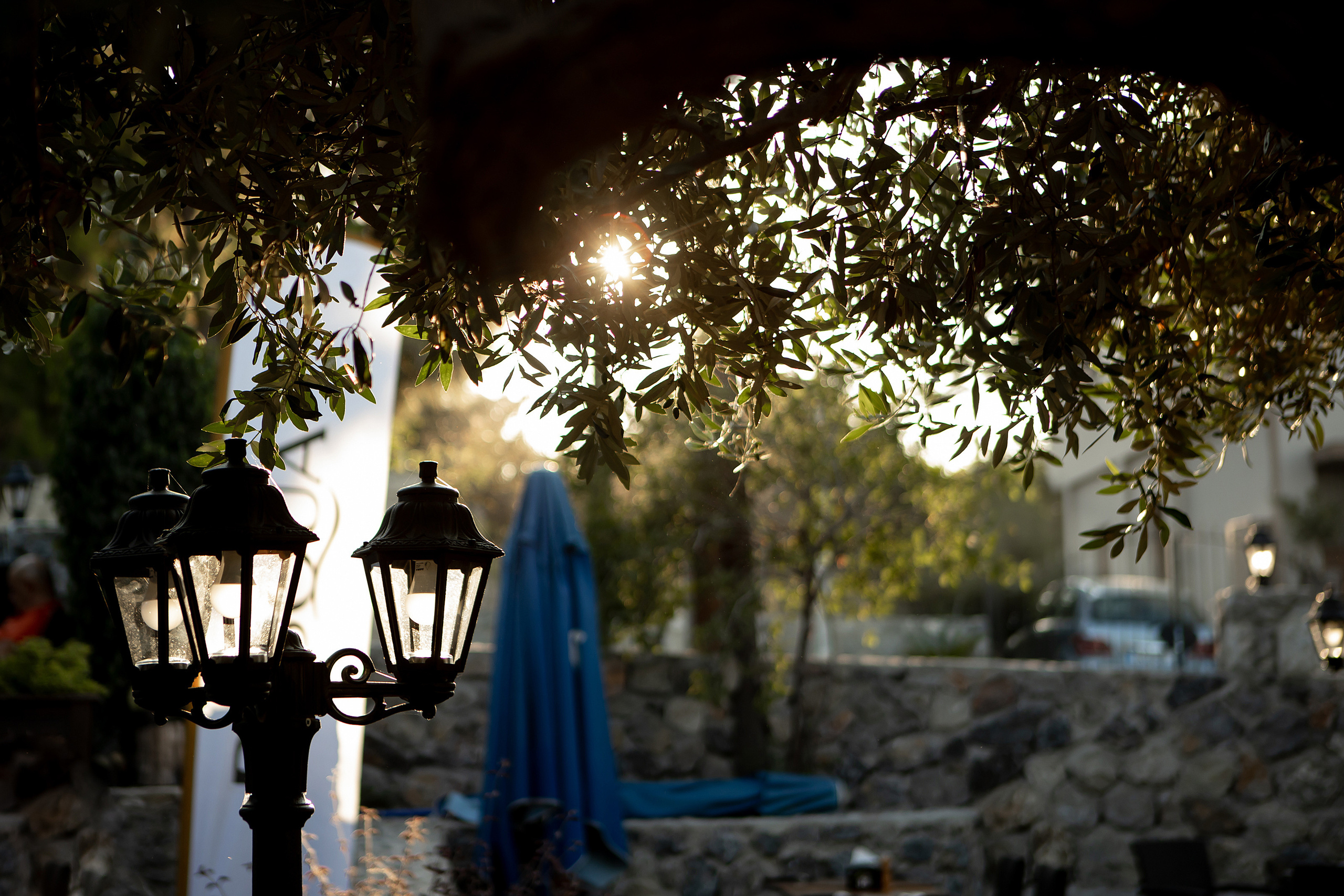 Благотворительный ужин в Basilic. Фотограф в Батуми Павел Шарников