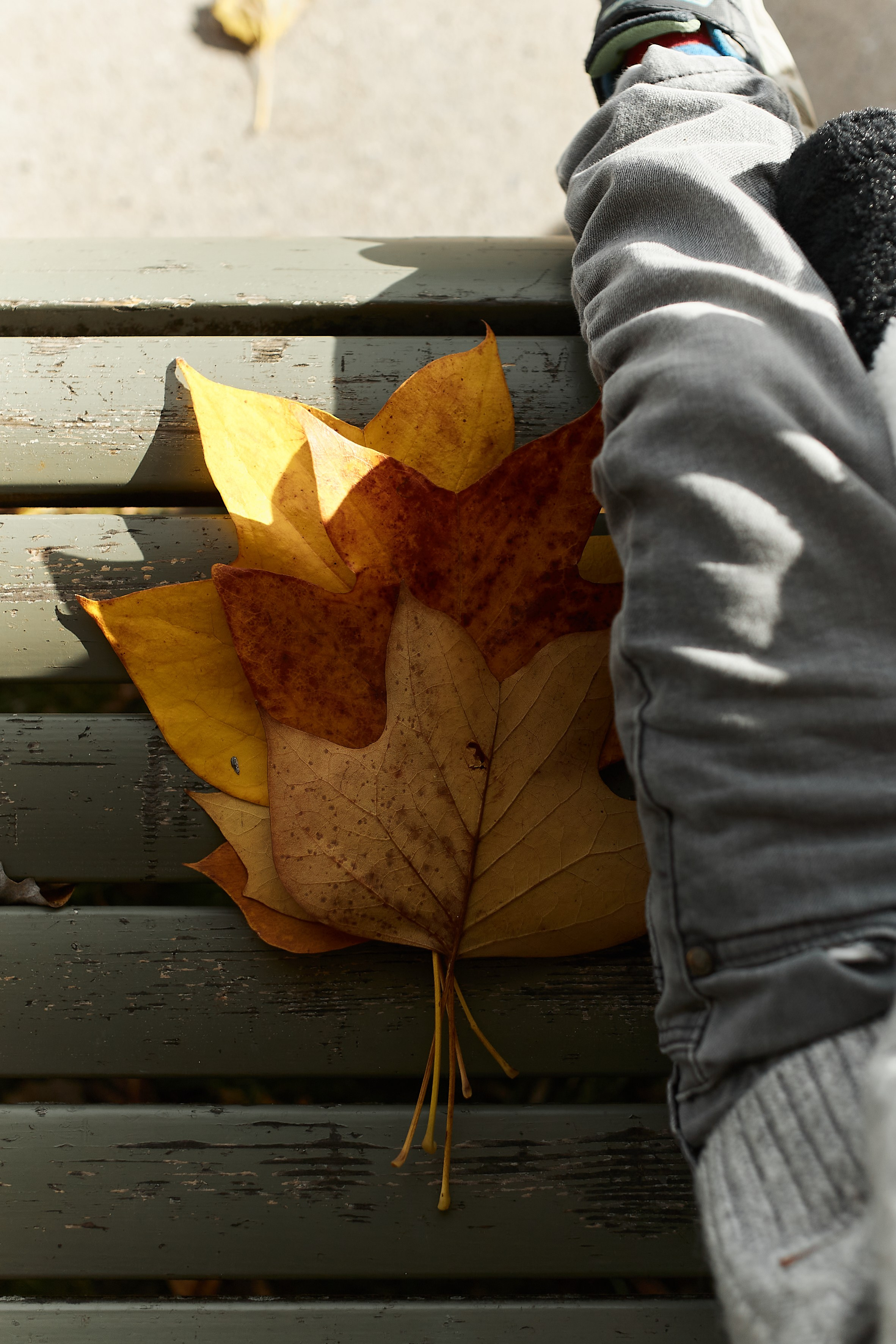 4 ✨. Ваш душевный фотограф