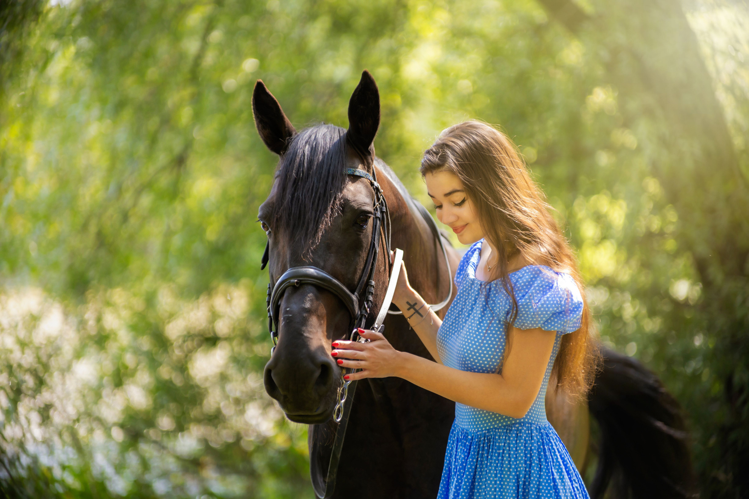 Фотосессия с лошадьми в Москве. Профессиональная фото и видеосъемка. Москва