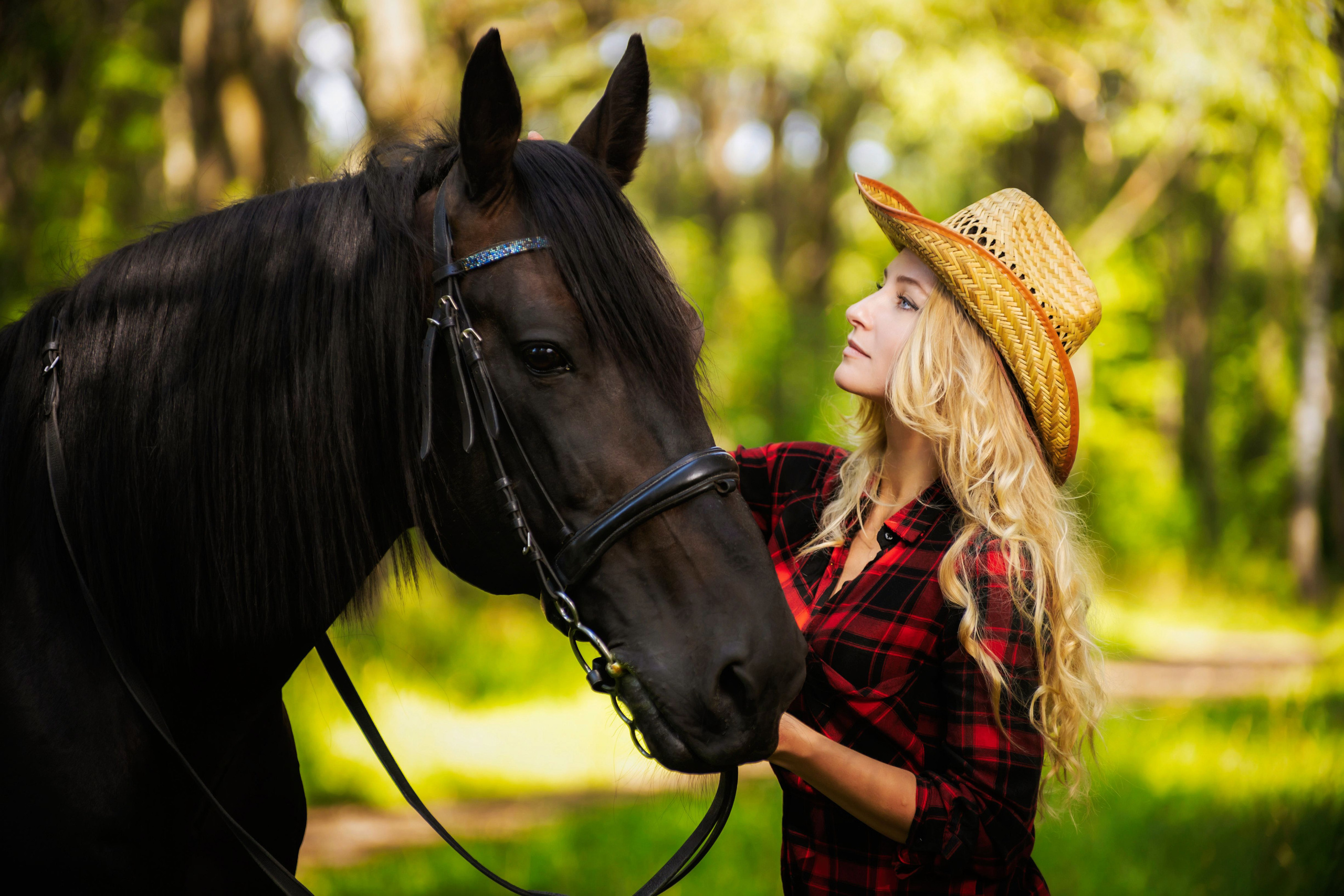 Фотосессия с лошадьми в Москве. Профессиональная фото и видеосъемка. Москва