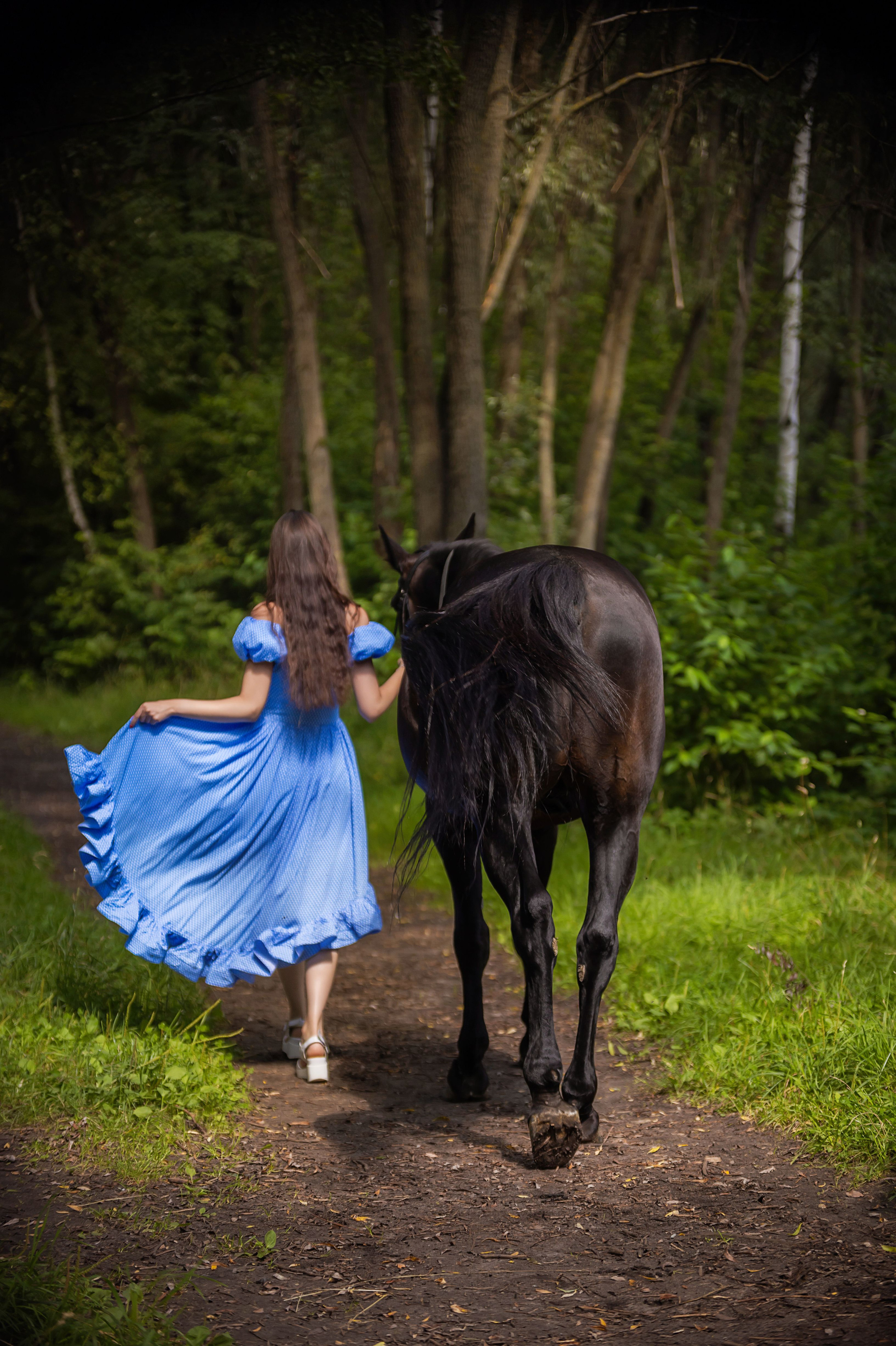 Фотосессия с лошадьми в Москве. Профессиональная фото и видеосъемка. Москва