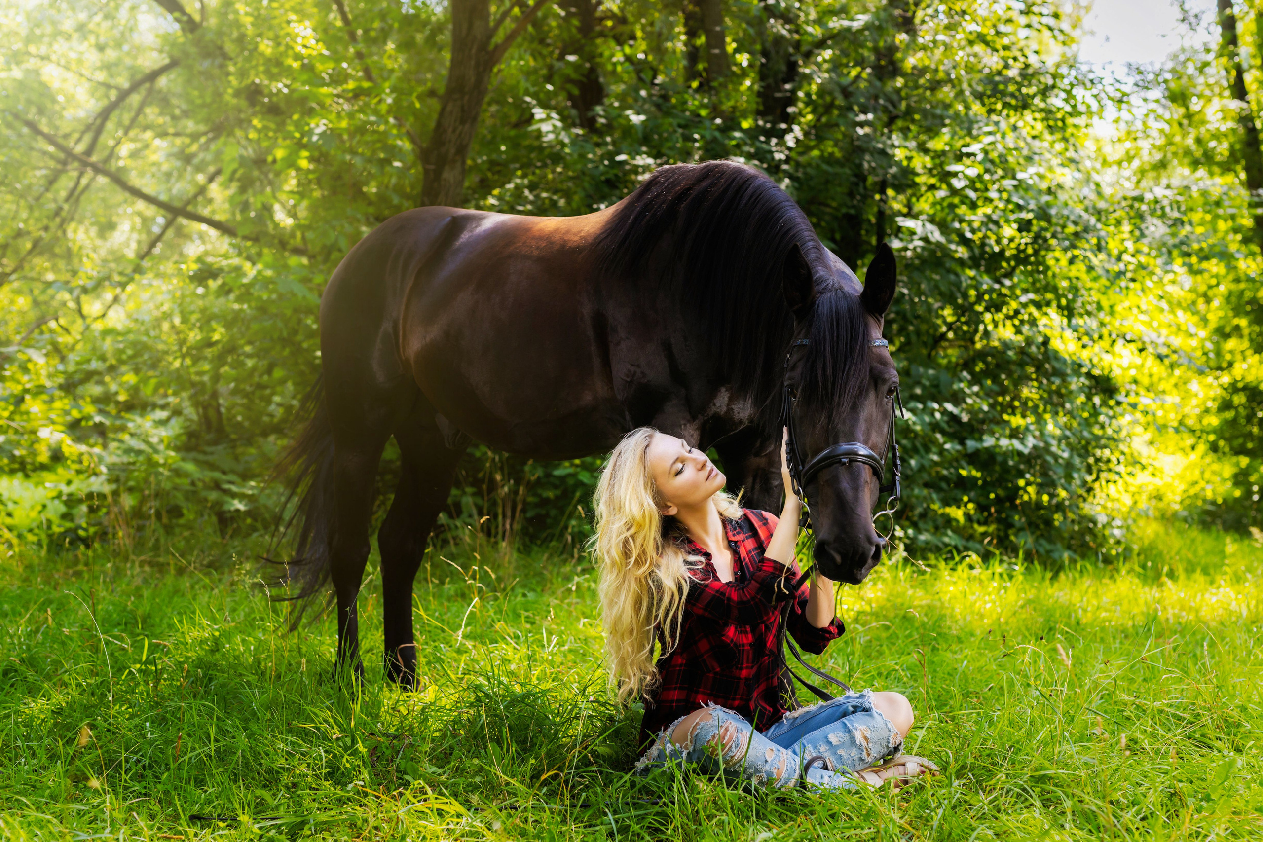 Фотосессия с лошадьми в Москве. Профессиональная фото и видеосъемка. Москва
