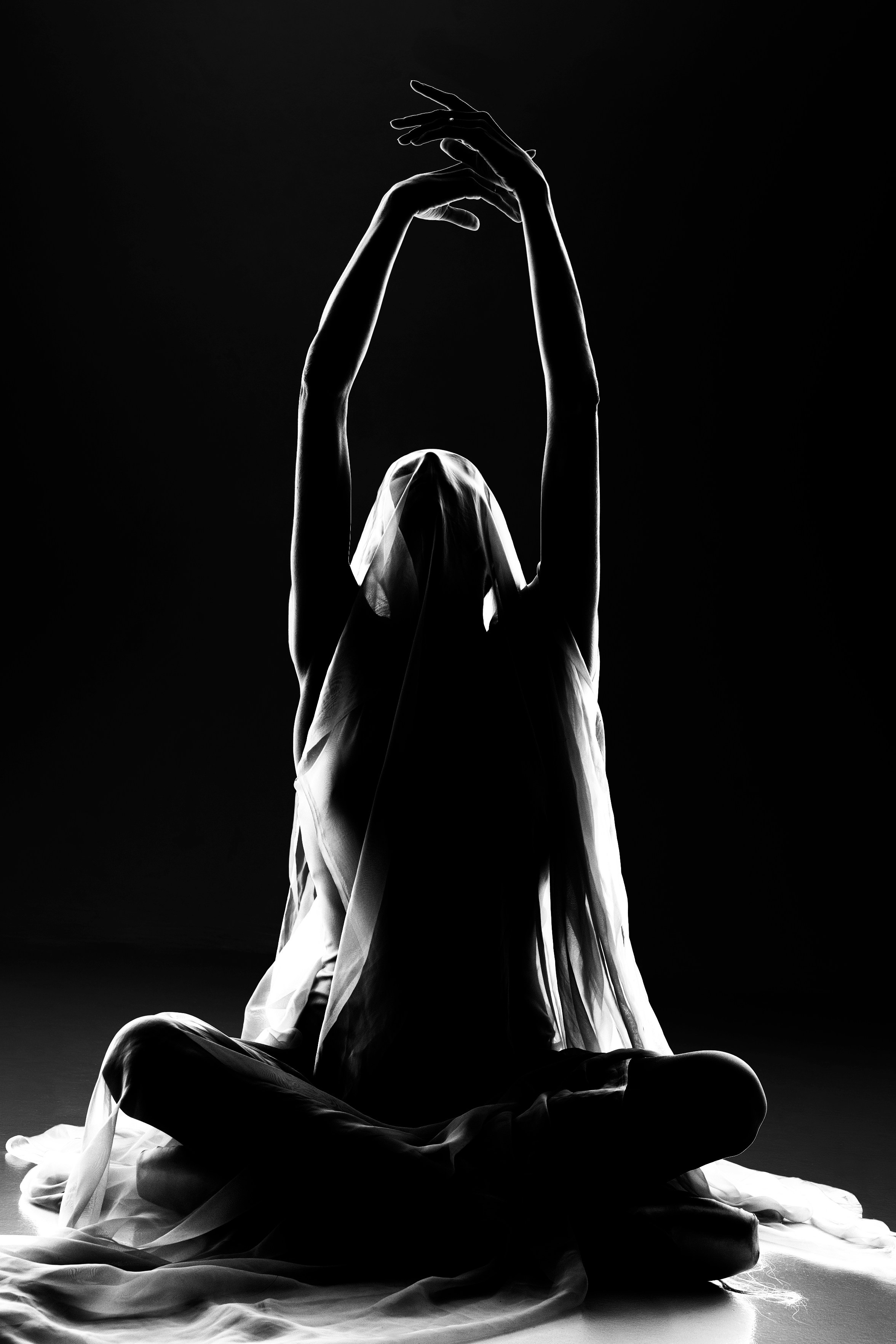 Искусство линии и света