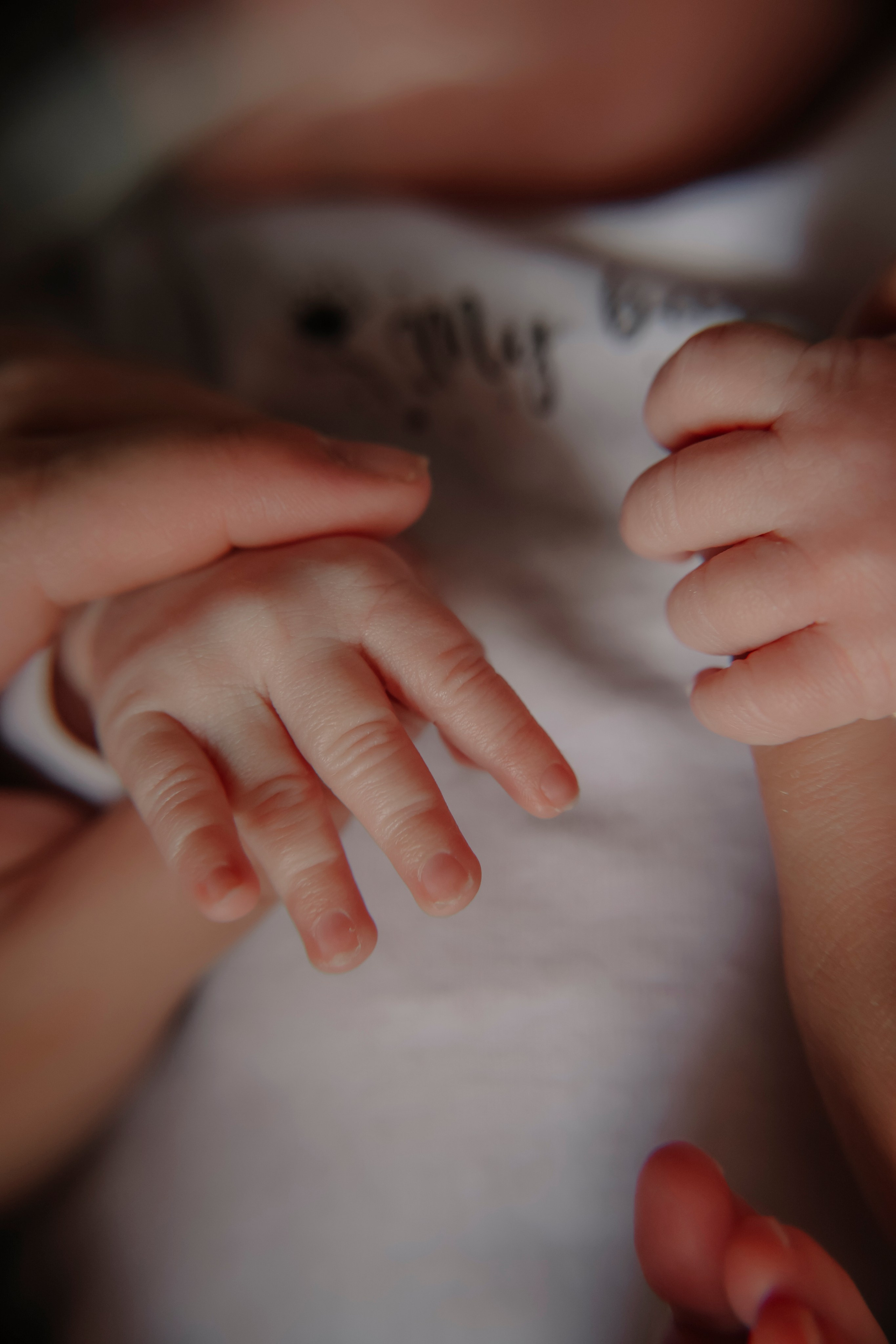 Настя Руслан София Ратмир. Фотограф новорожденных