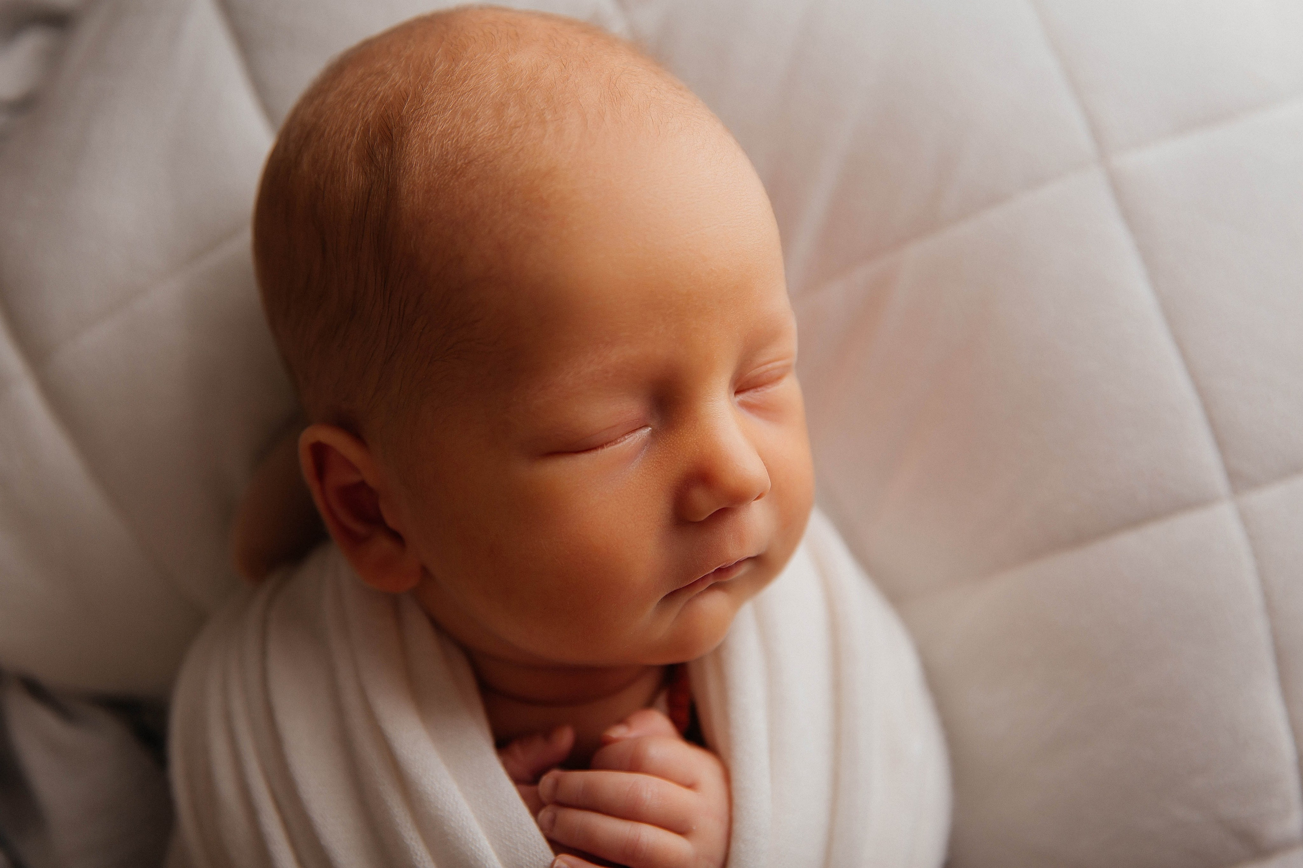 Лев. Фотограф новорожденных Тверь Диана Муляева