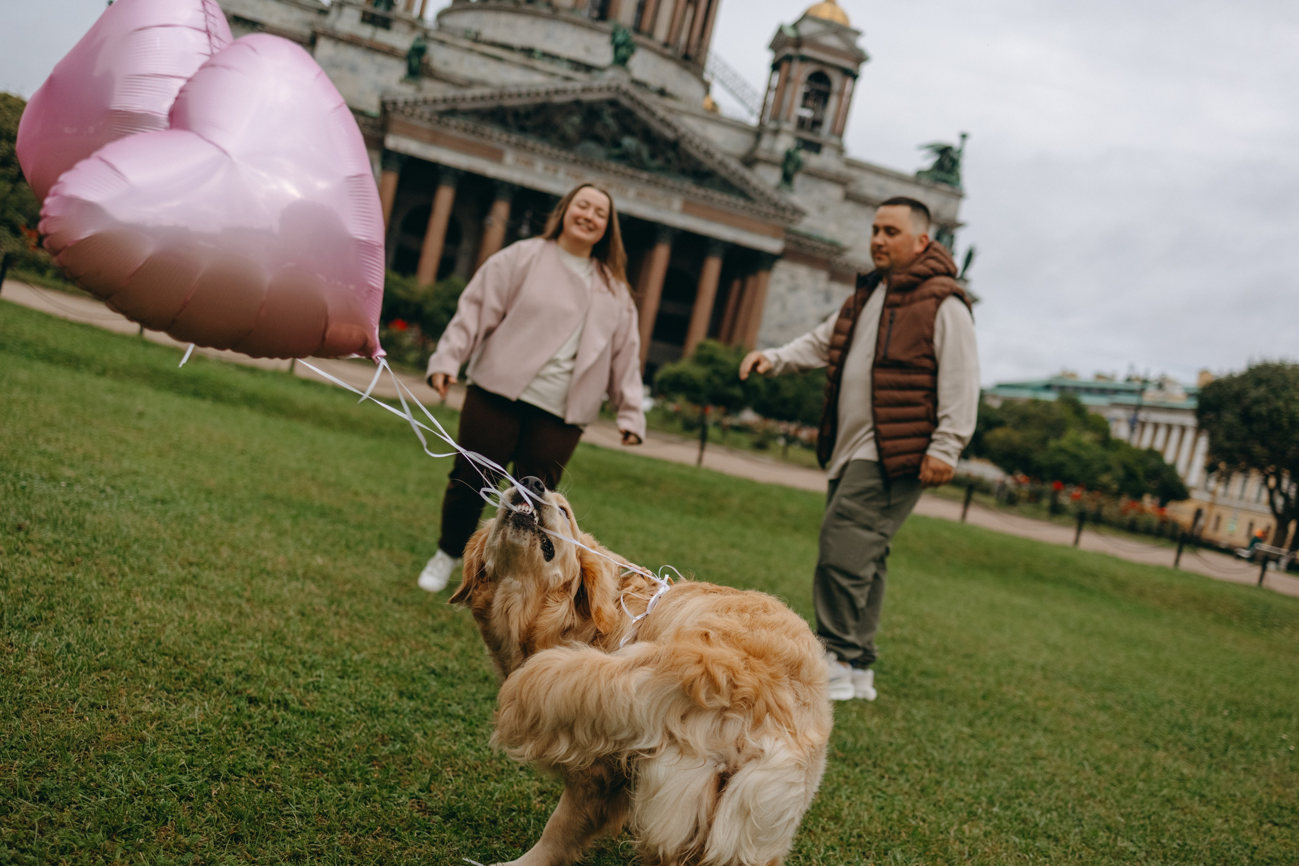 Бетти и ее семья. Фотограф — Анималист | Санкт-Петербург