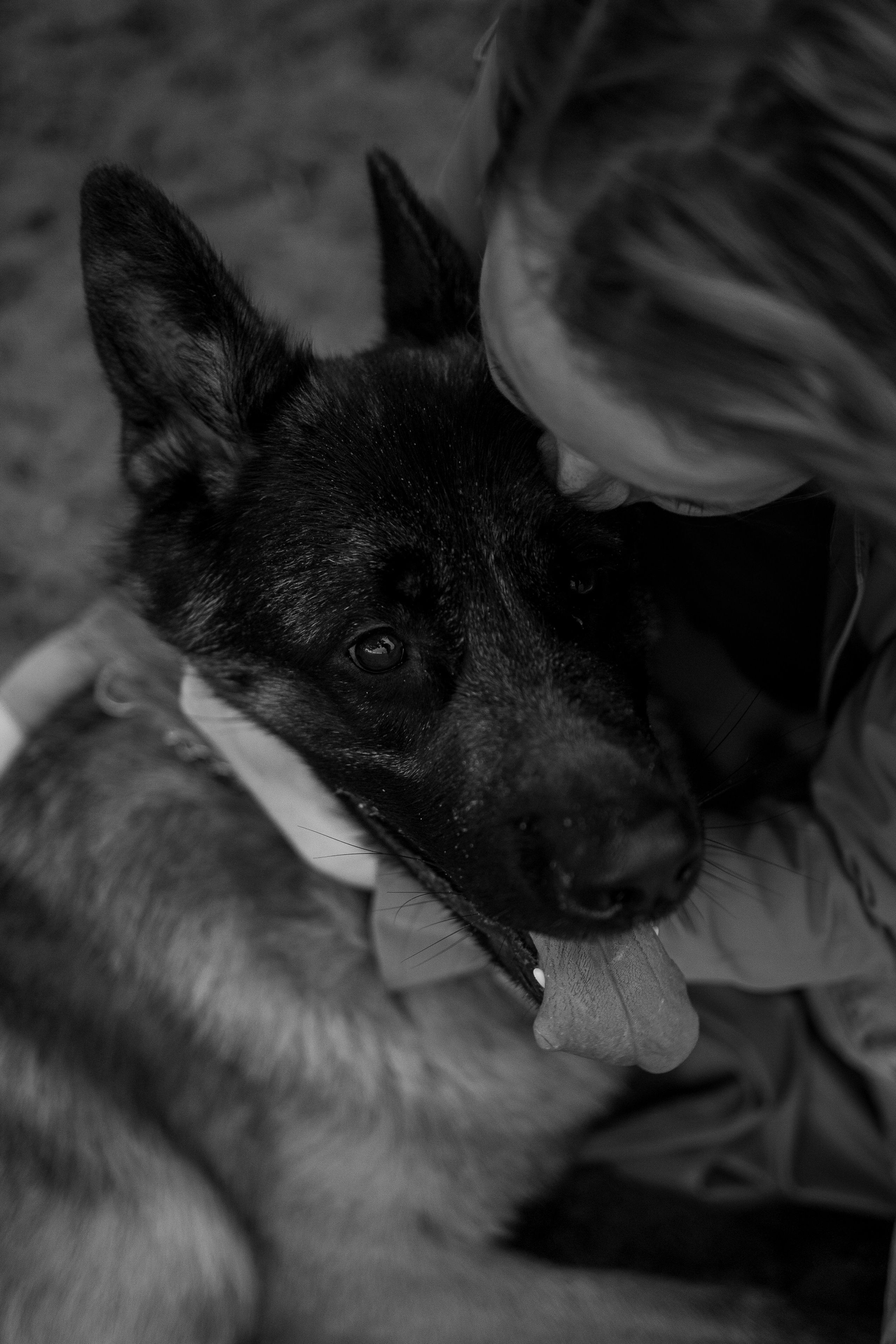 Катя и Агат. Фотограф — Анималист | Санкт-Петербург