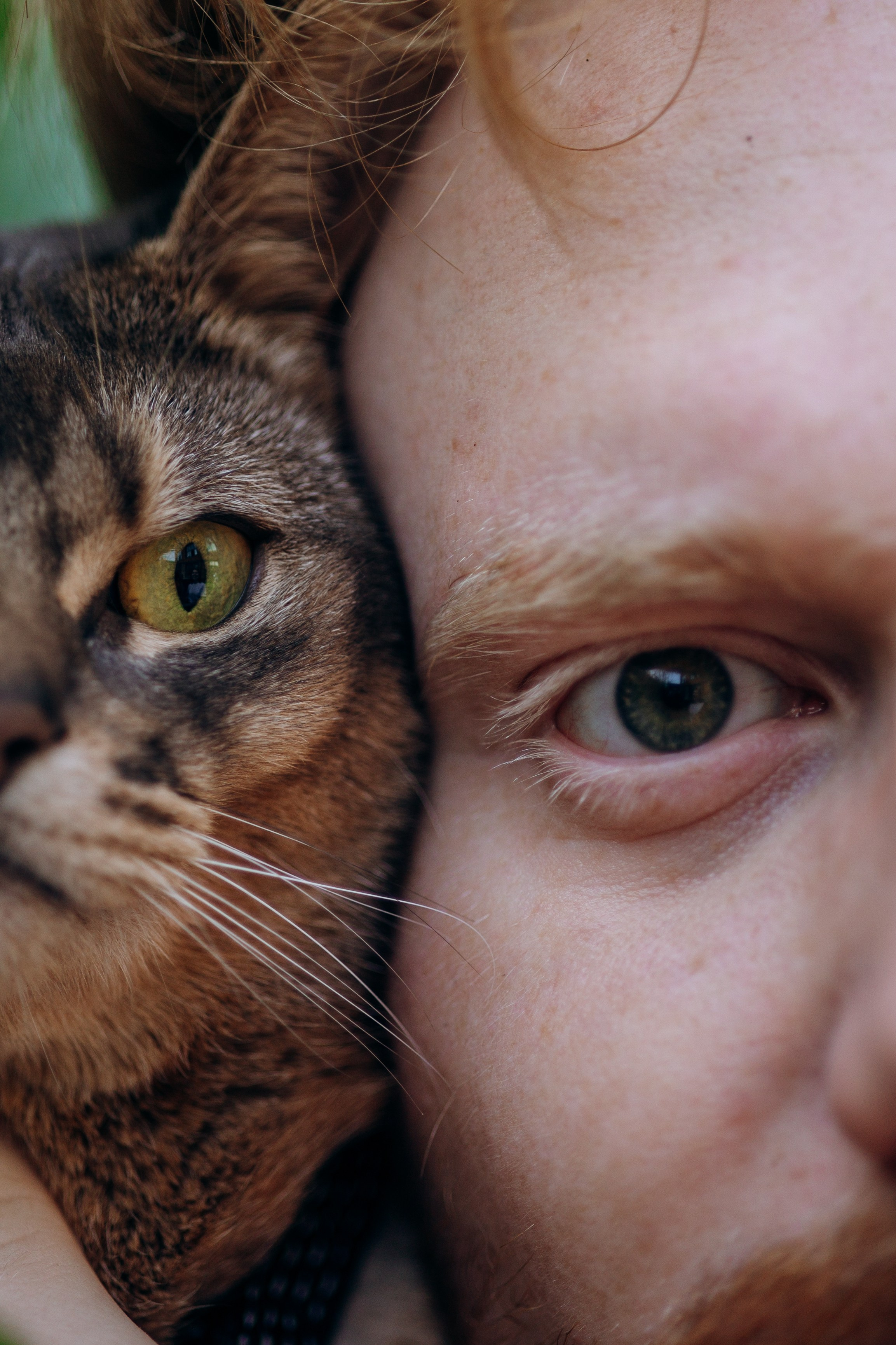 Циско и его семья. Фотограф — Анималист | Санкт-Петербург