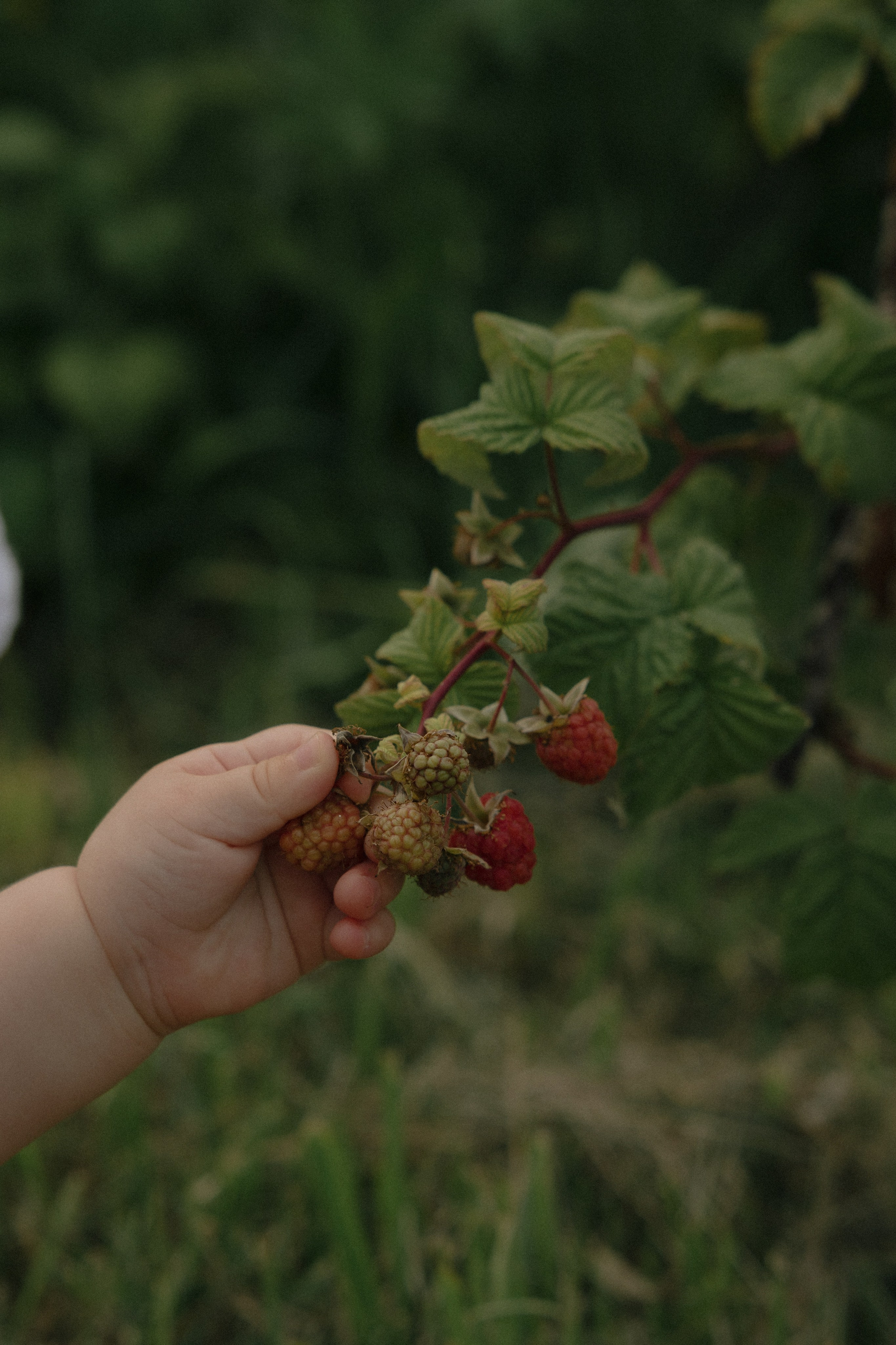Таня и Тася в деревне. Дубинкина Екатерина Фотограф Рязань, Москва