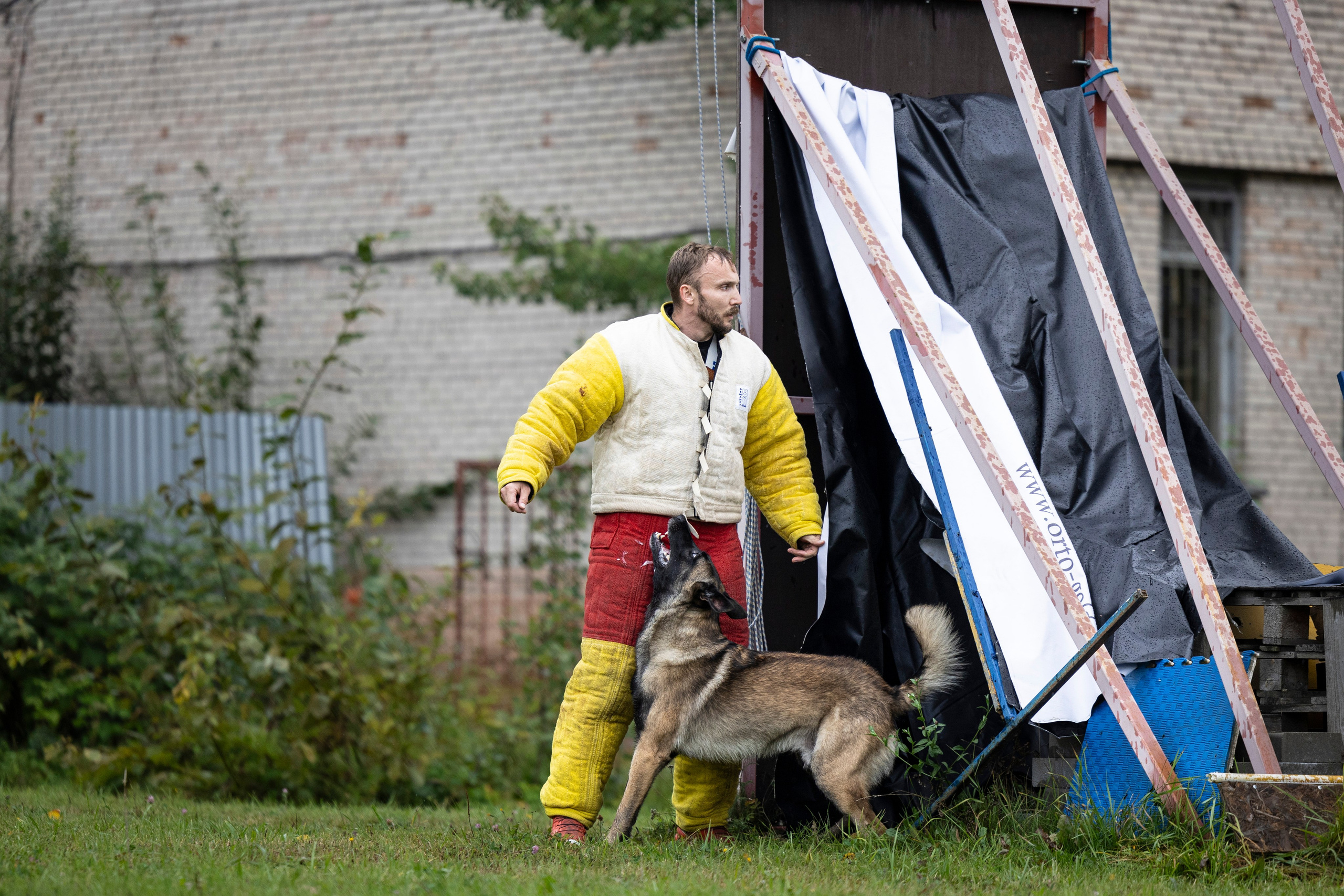 Испытания по Мондьорингу г. Пушкин. Фотограф-анималист Анна Маринич