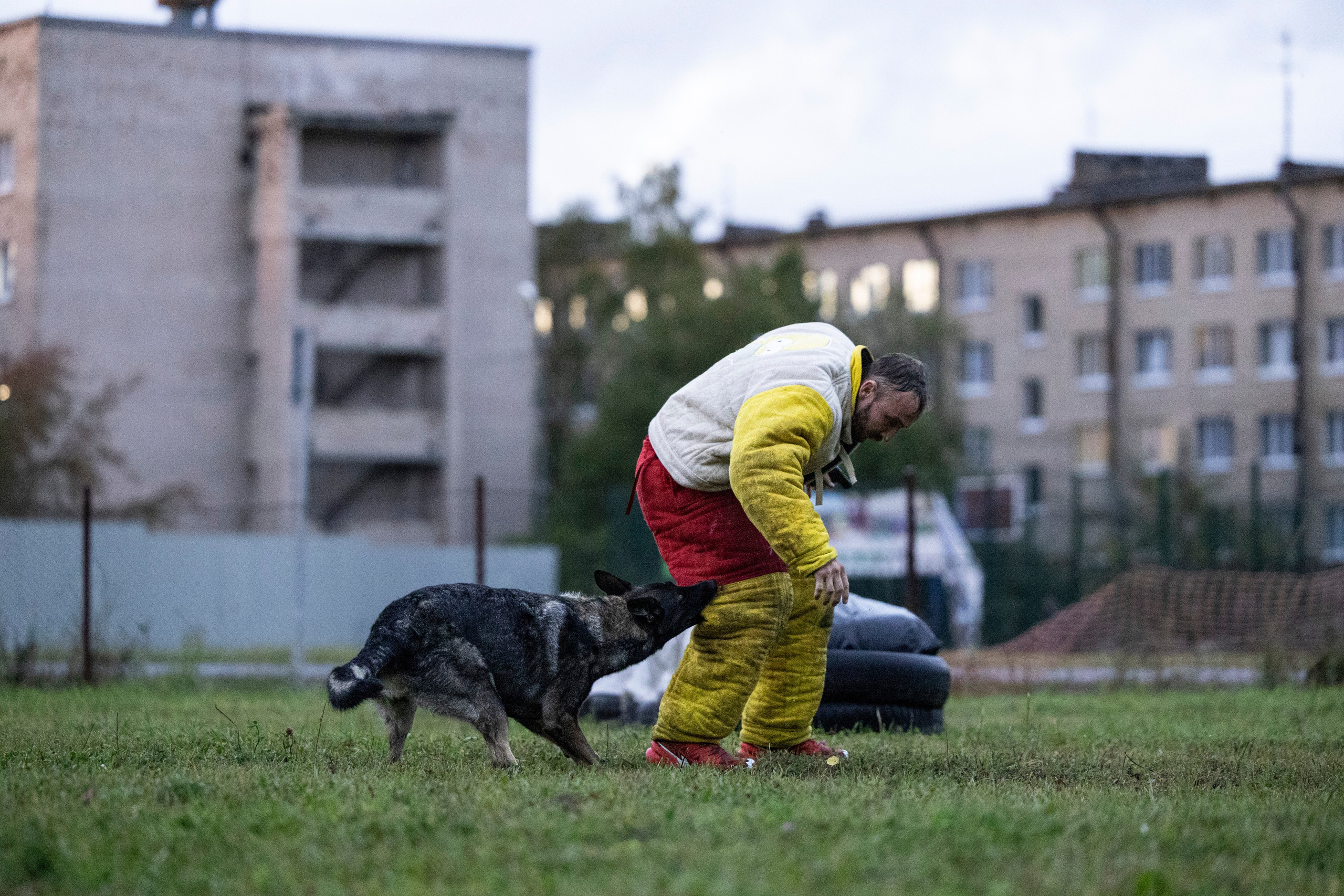 Испытания по Мондьорингу г. Пушкин. Фотограф-анималист Анна Маринич