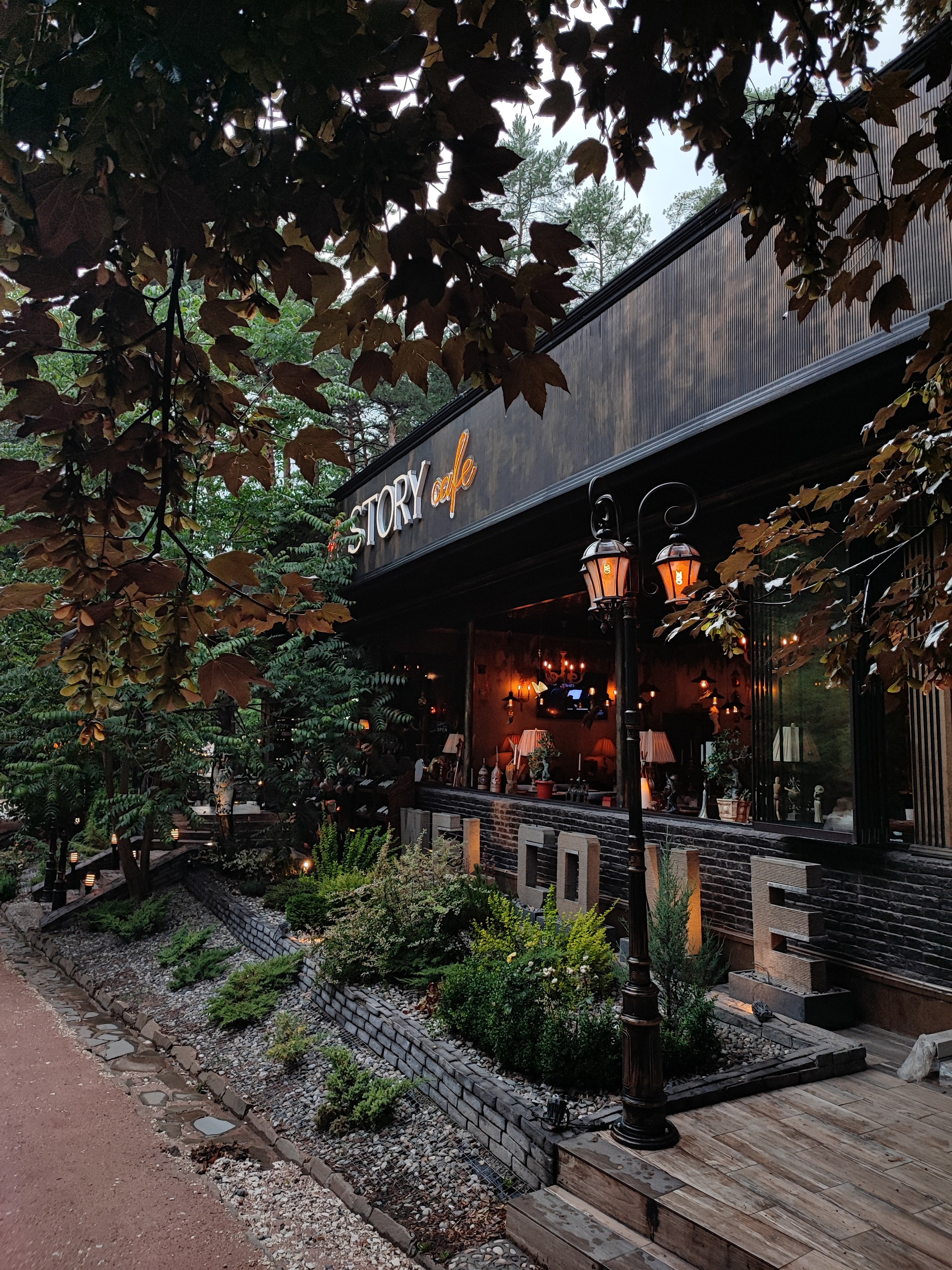 Намобилкус кавказский. Репортажный фотограф Алексей Пирязев