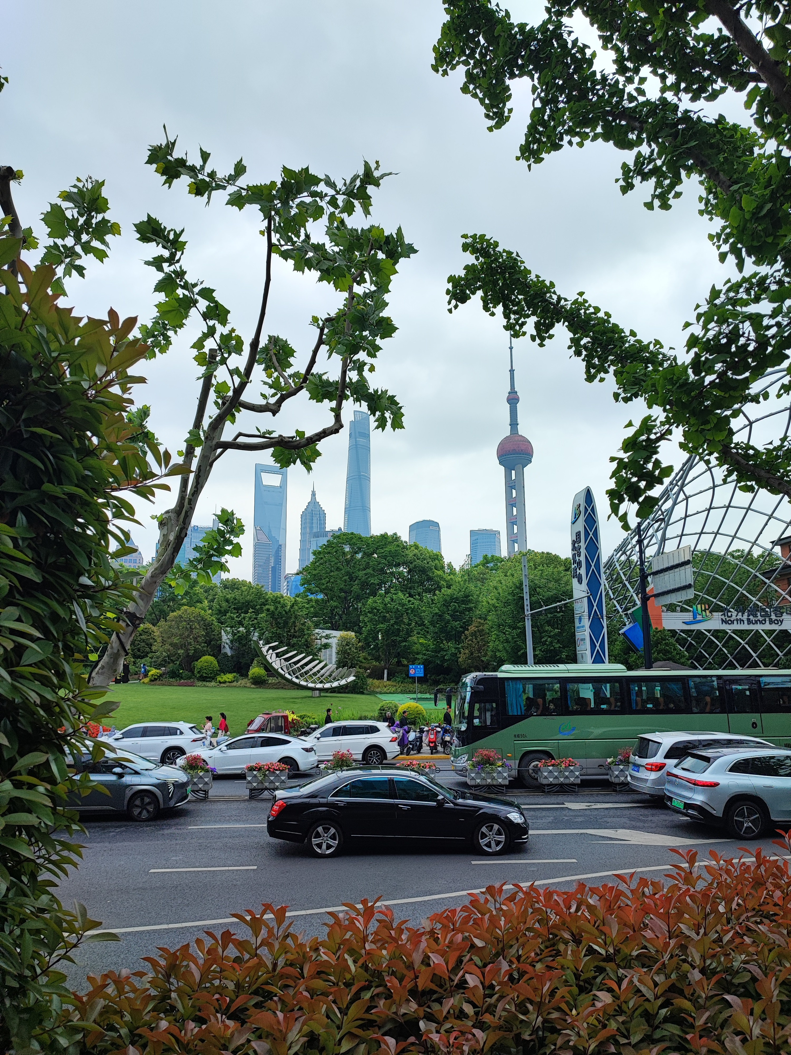 Намобилкус китайский. Репортажный фотограф Алексей Пирязев