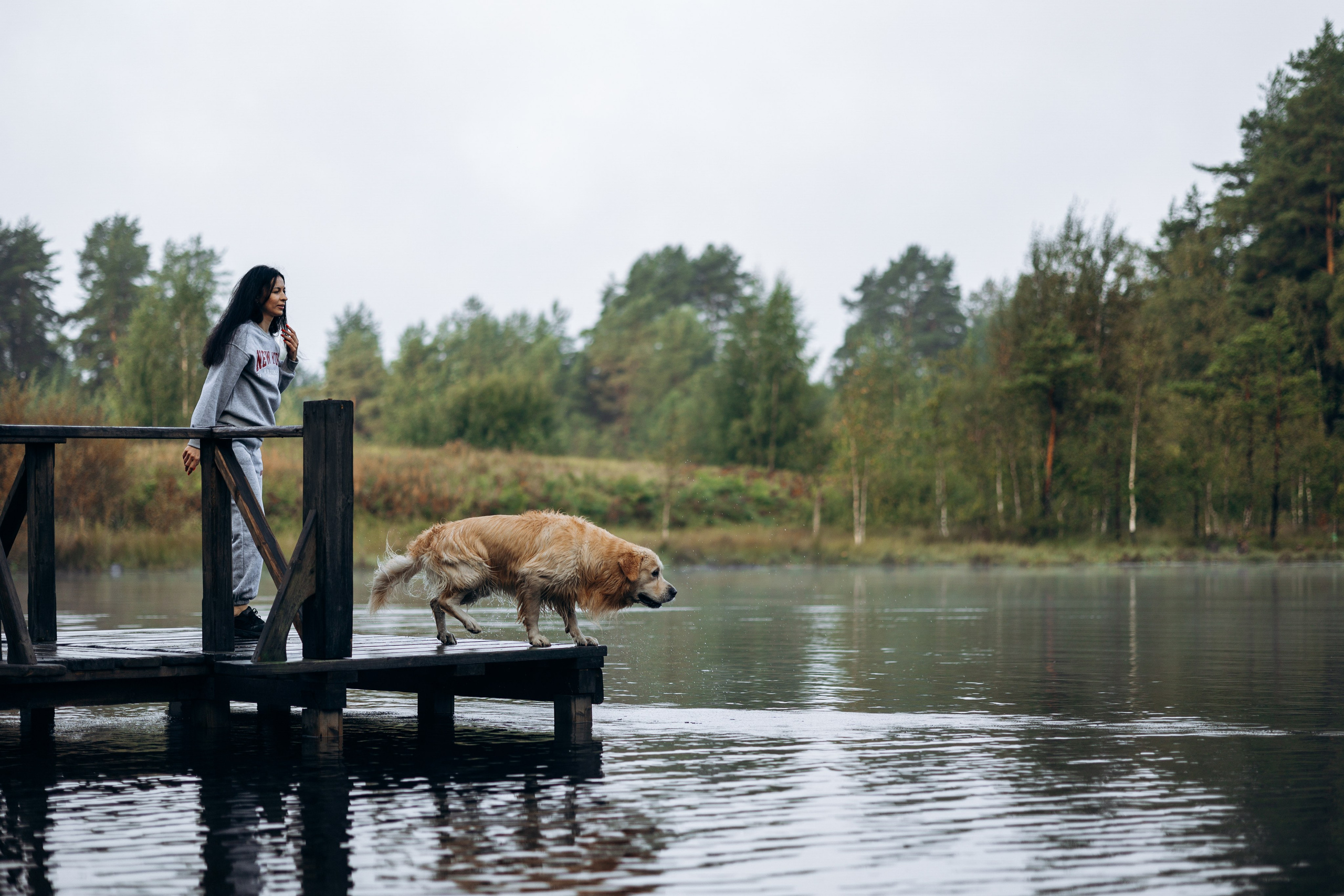 Лёва и его семья. Фотограф — Анималист | Санкт-Петербург