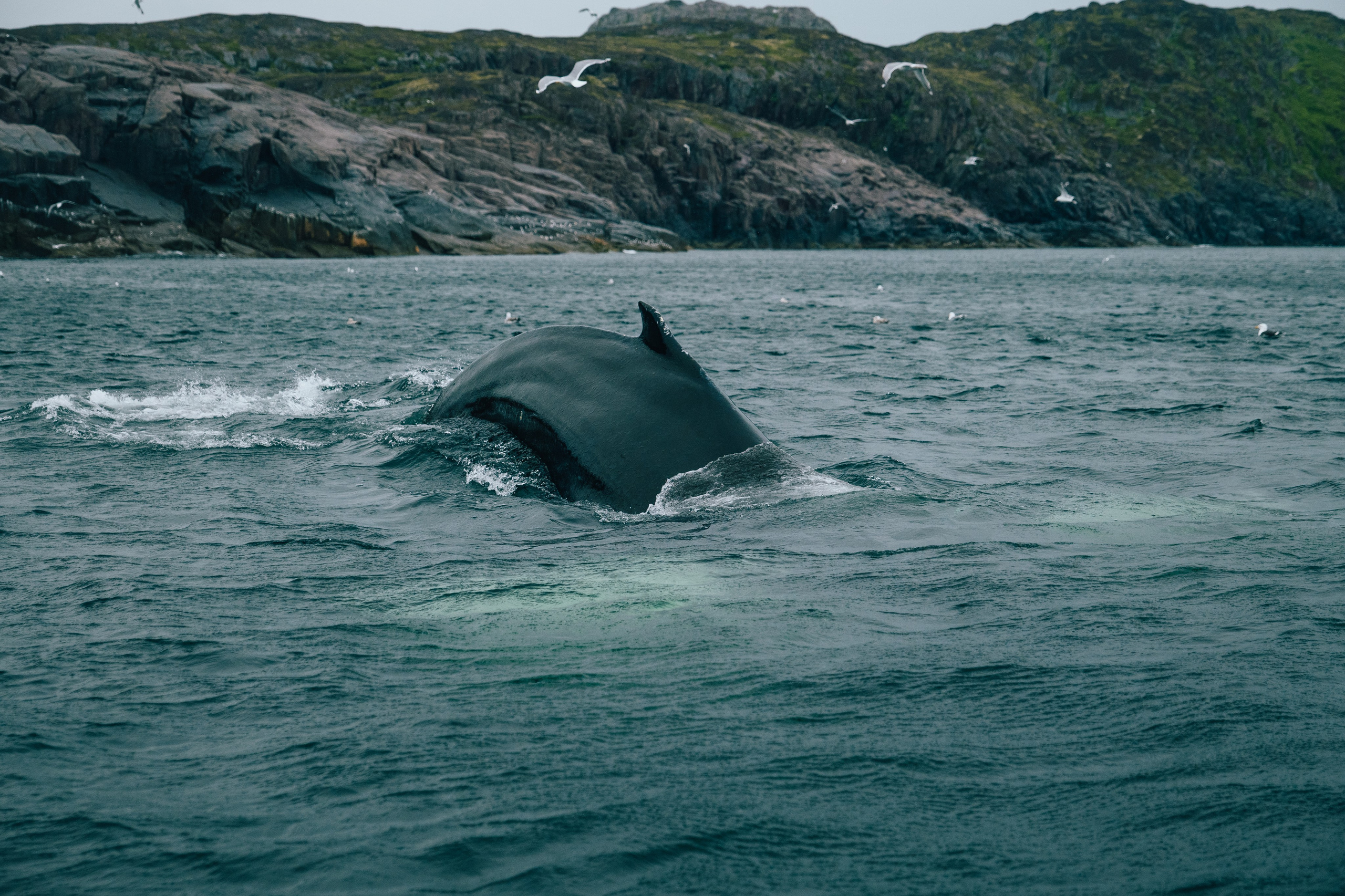 ТЕРИБЕРКА. Создание контента | Фото | Видеосъемка | Александр Ярков